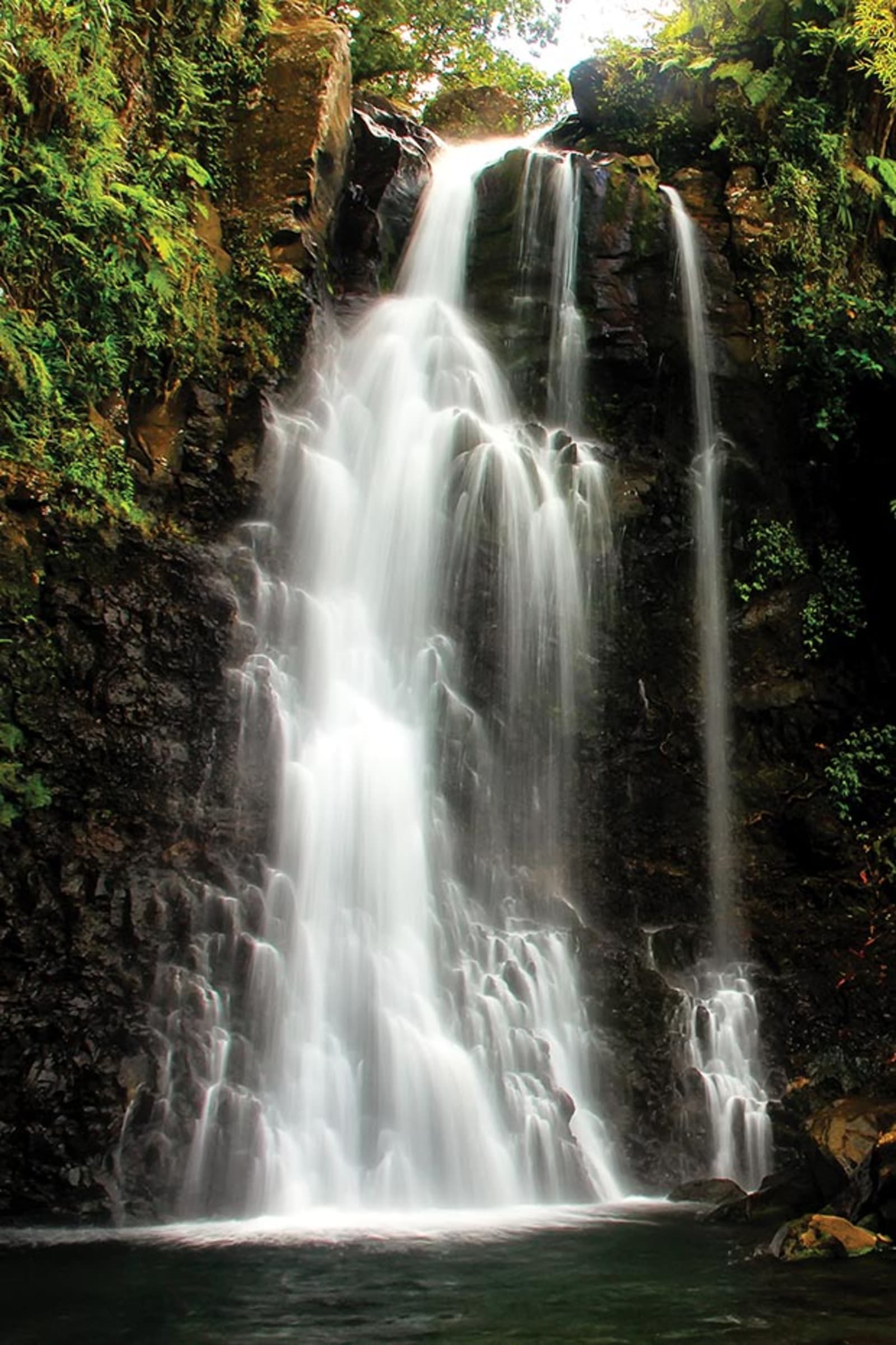 fiji-honeymoonguide-taveuni.jpg