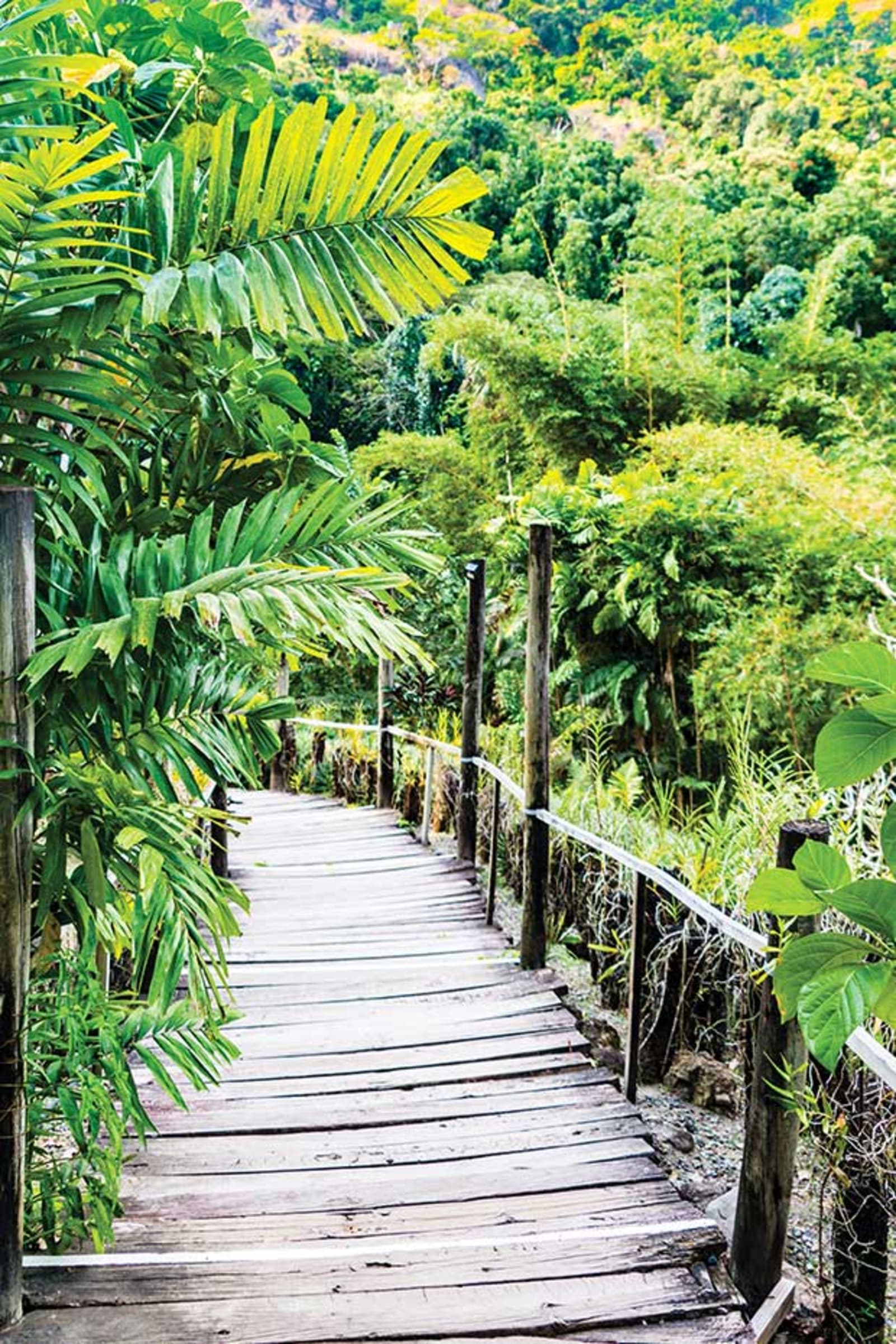 fiji-honeymoonguide-viti-levu.jpg