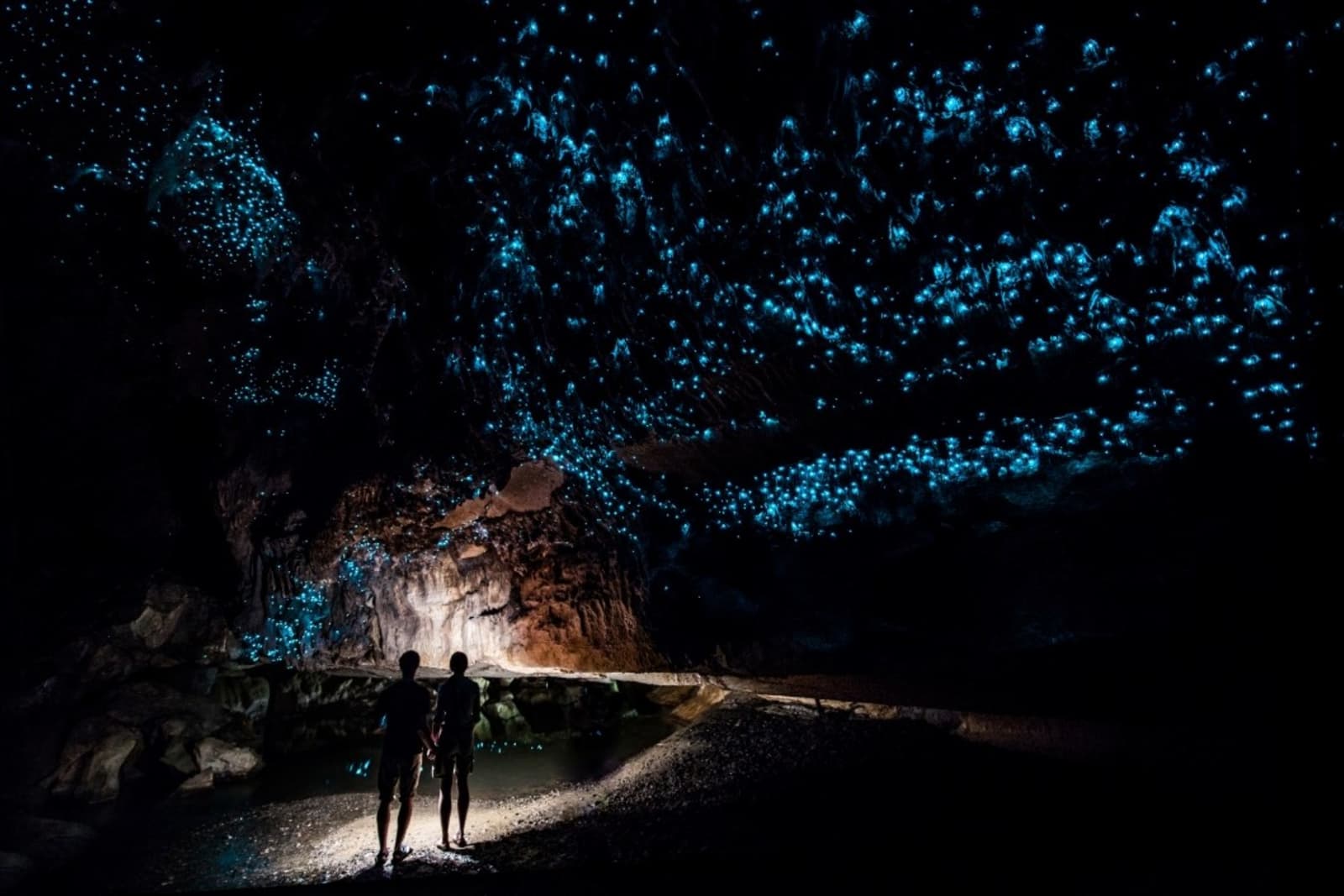 Glowworms in Waipu Caves light up the dark like a night sky