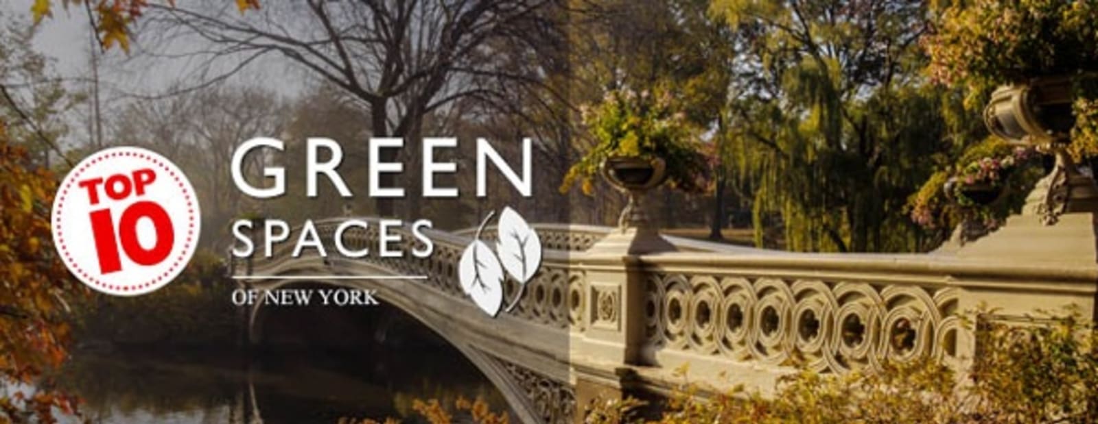 Top 10 green spaces of new york - bridge in central park