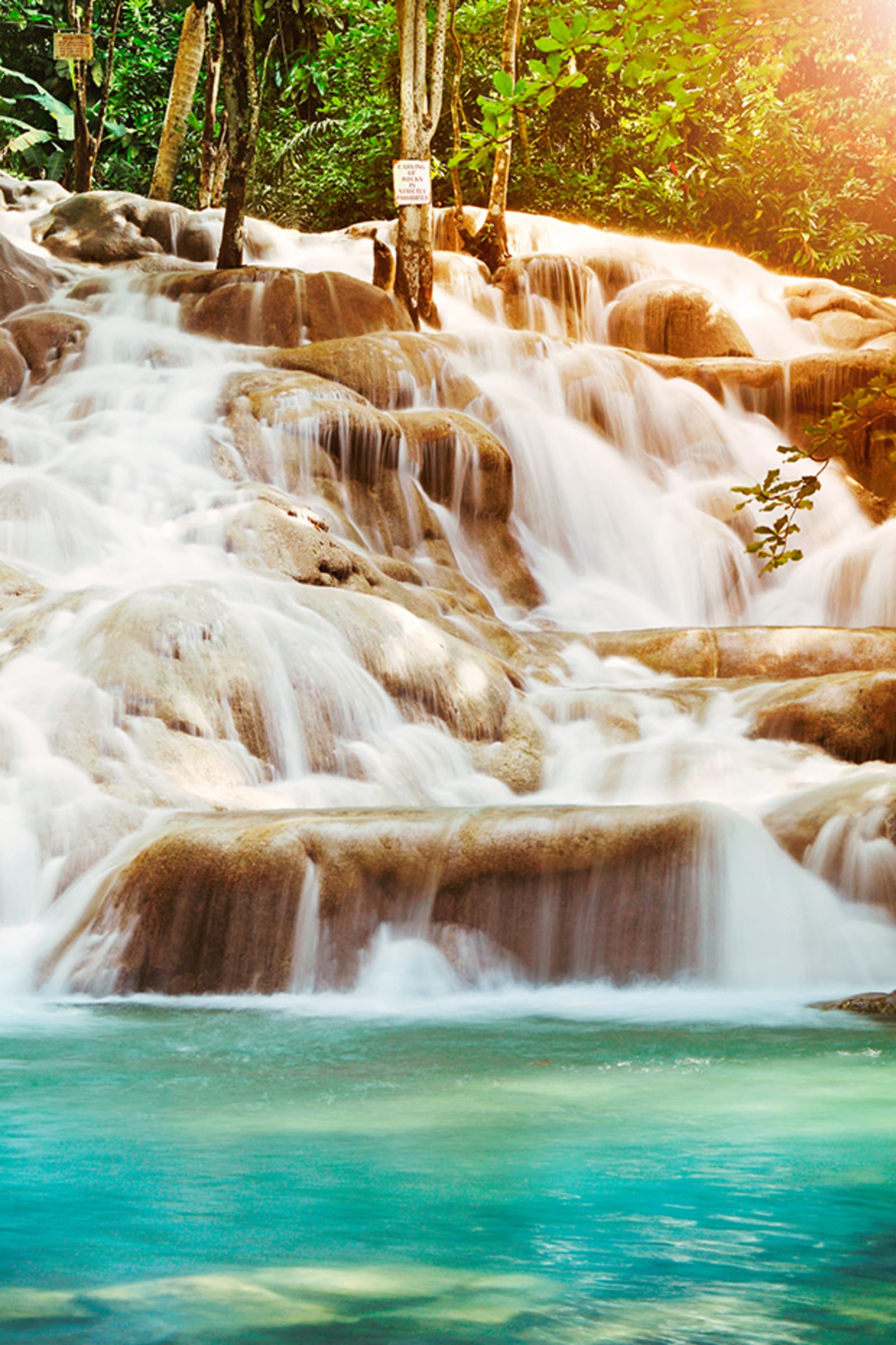 jamaica-excursions-02 (1).jpg