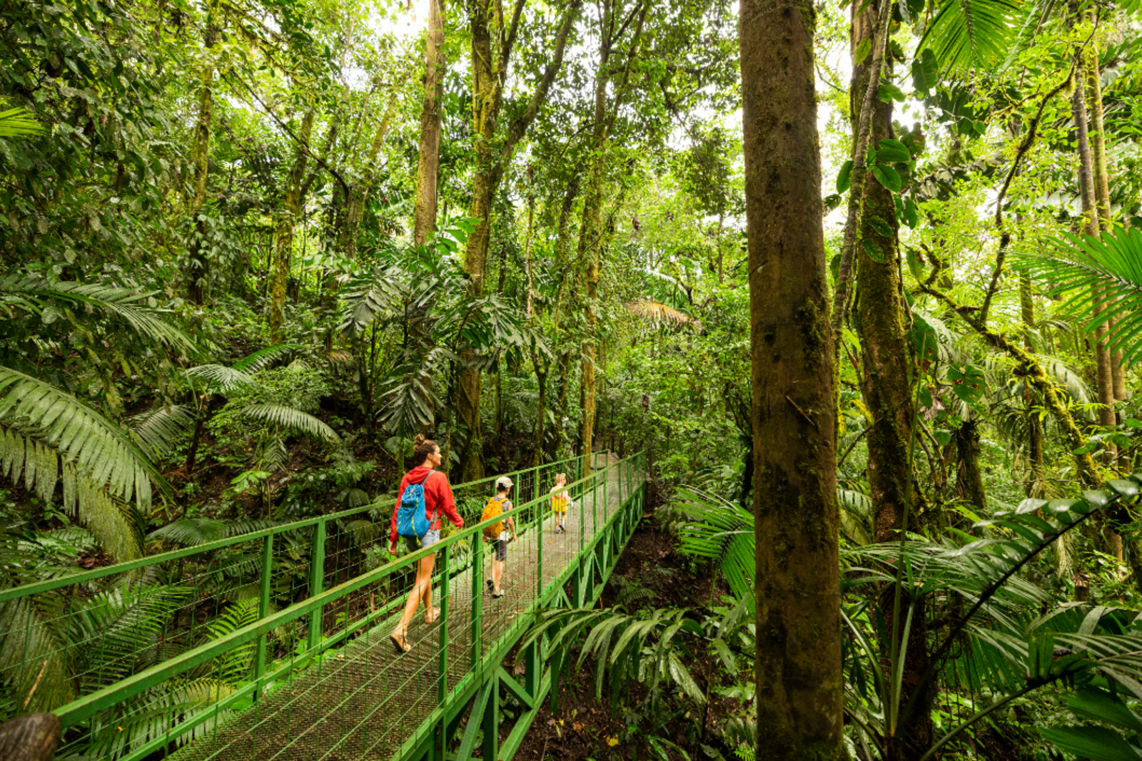 A mother and two kids walking through a jungle in Costa Rica