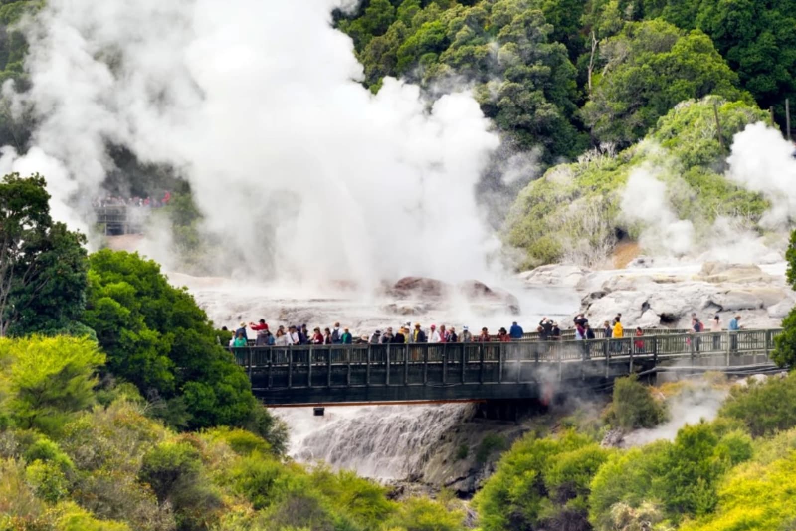 Rotorua's Pōhutu Geyser is just one geothermal feature of the area's beauty and drama.