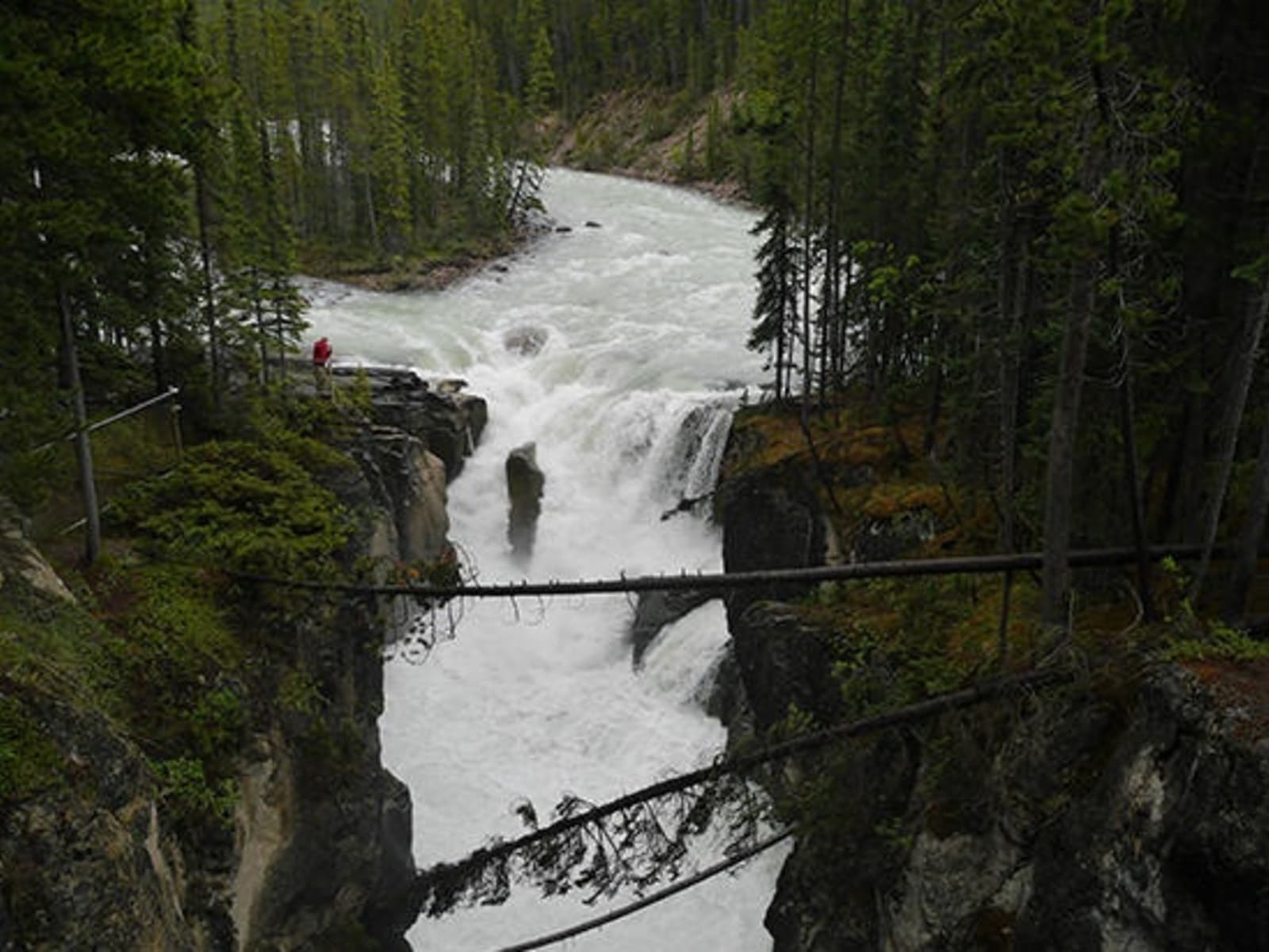 16-Sunwapta-Falls.jpeg
