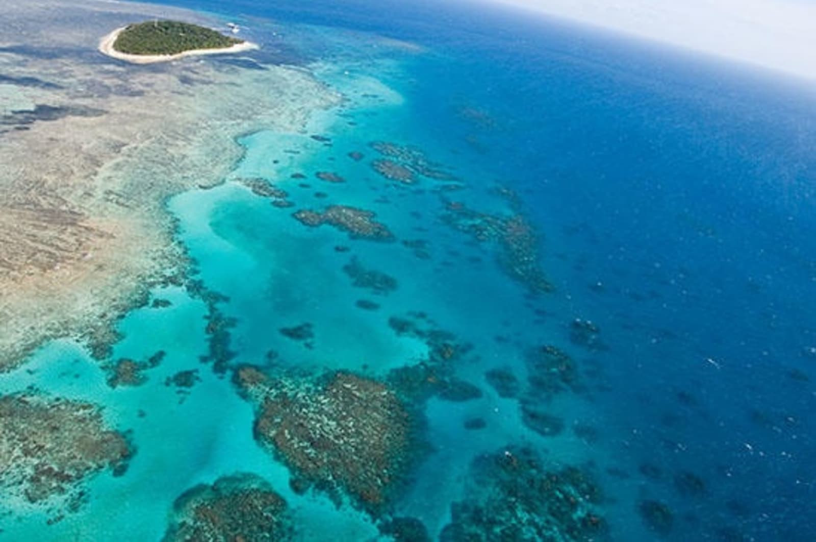 1great-barrier-reef-above.jpg