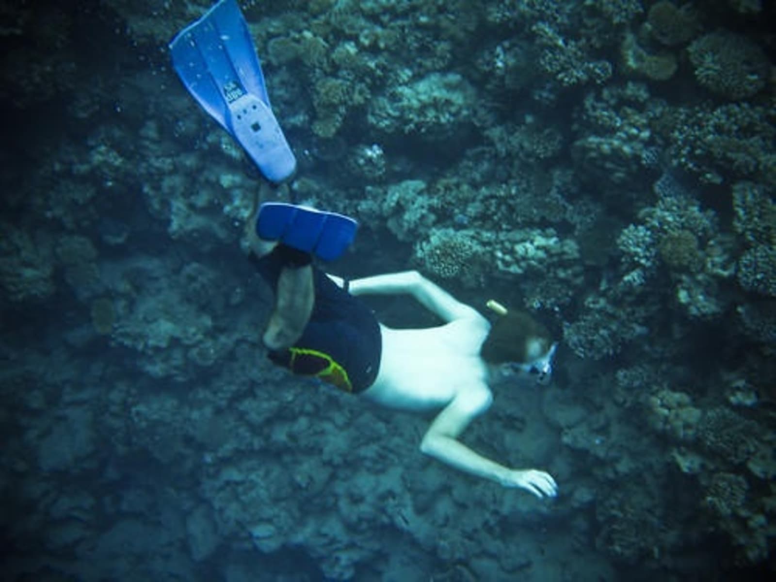 Man snorkelling in the red sea.