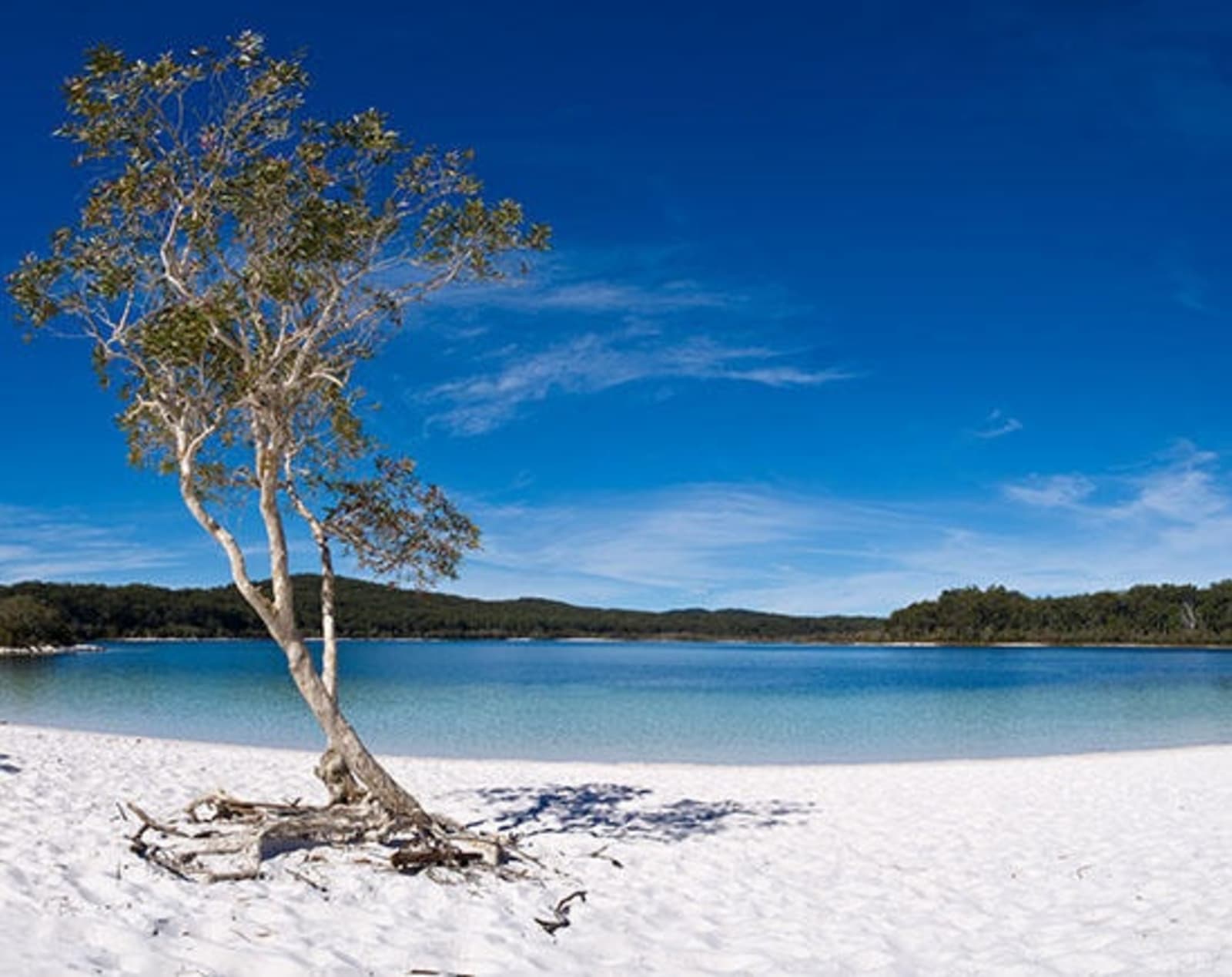 2Lake-McKenzie-on-Fraser-Isand-in-Queensland-Australia.jpg