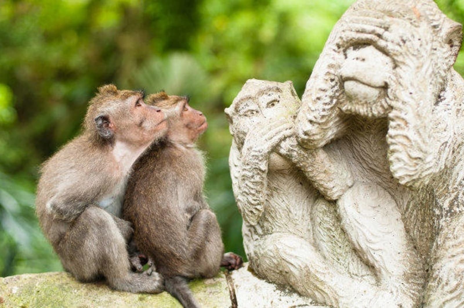 Bali-Sacred-Monkey-Forest-shutterstock_122558824.jpg