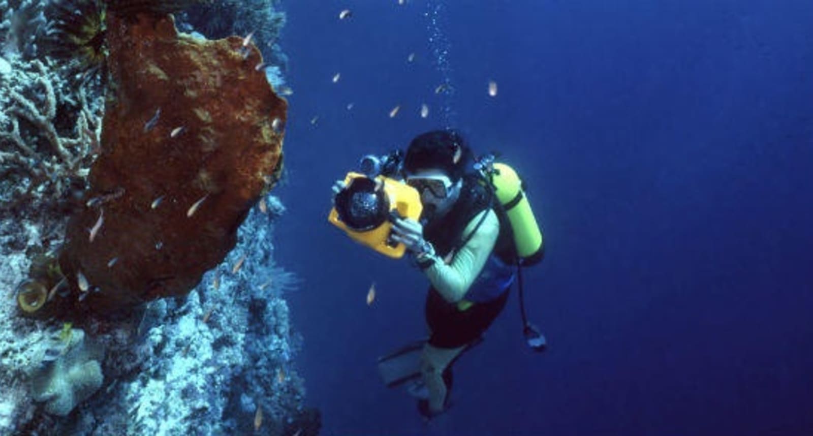 Indonesia-Scuba-DIving.jpg