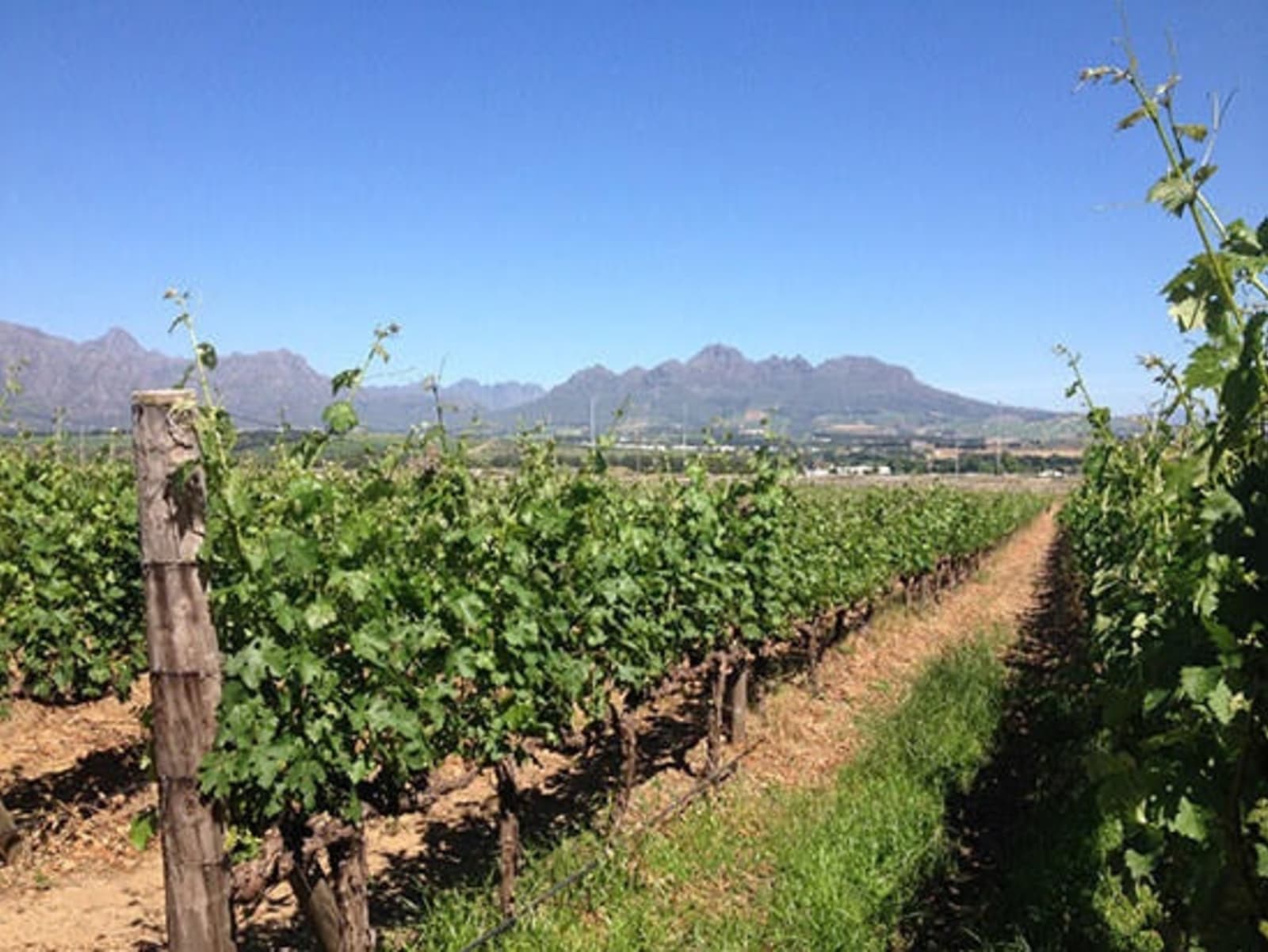 RS-2.-Cape-Winelands.jpg