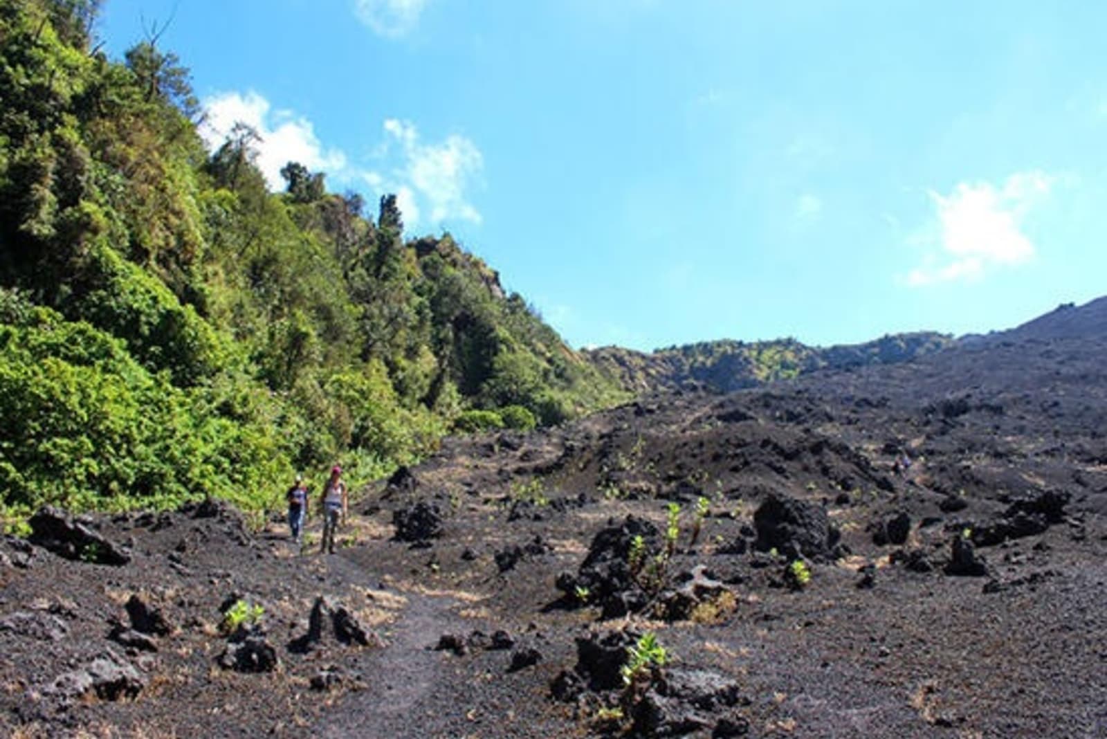 RS-2.-Pacaya-Volcano.jpg