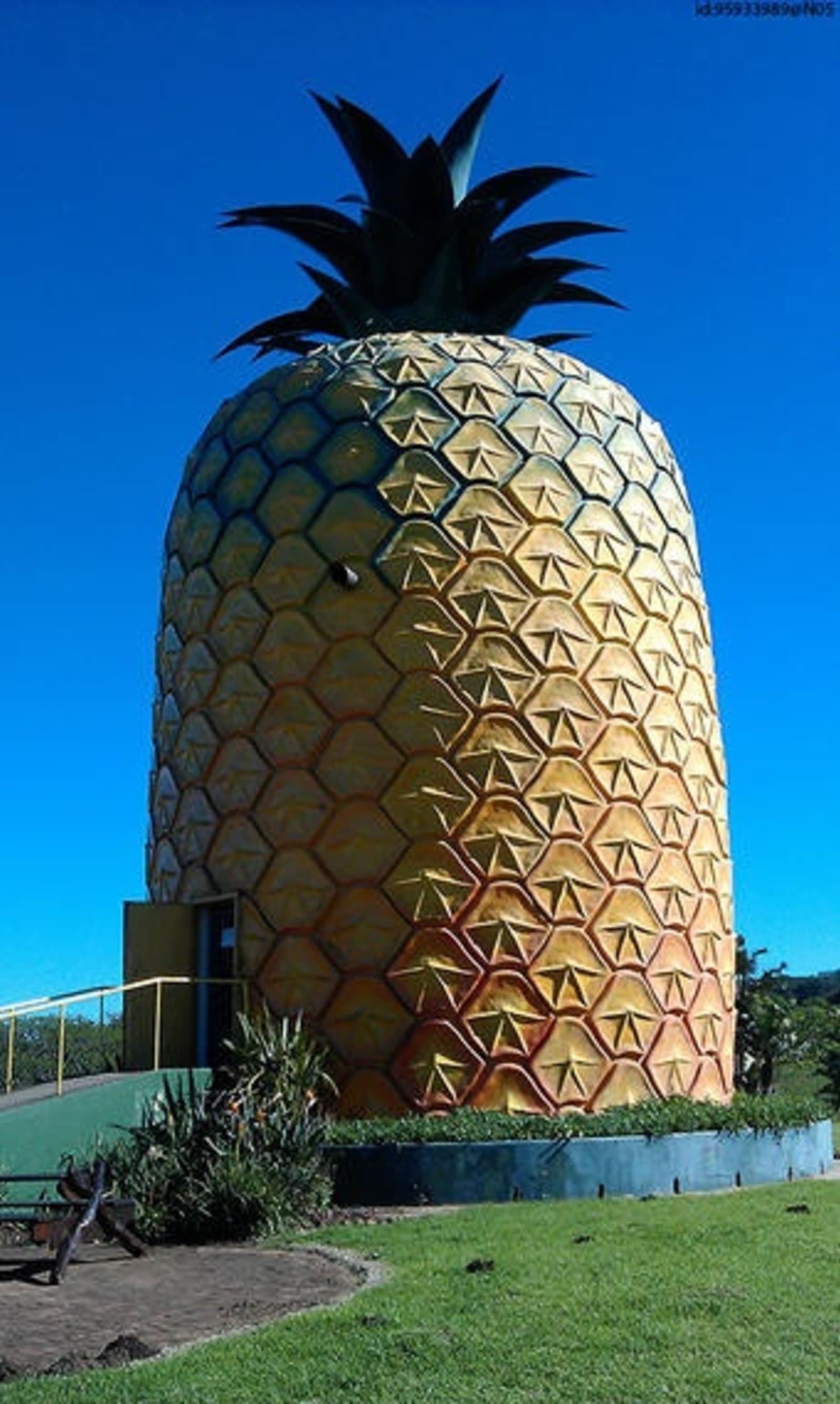 RS-7.-Big-Pineapple-Bathurst.-Flickr-Creative-Commons-Nicholas-Young.jpg