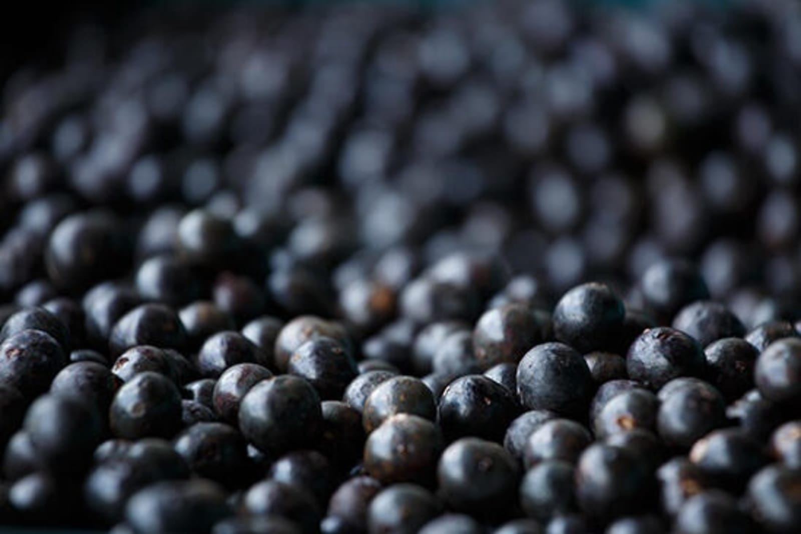 RS-Acai-shutterstock_325608143.jpg