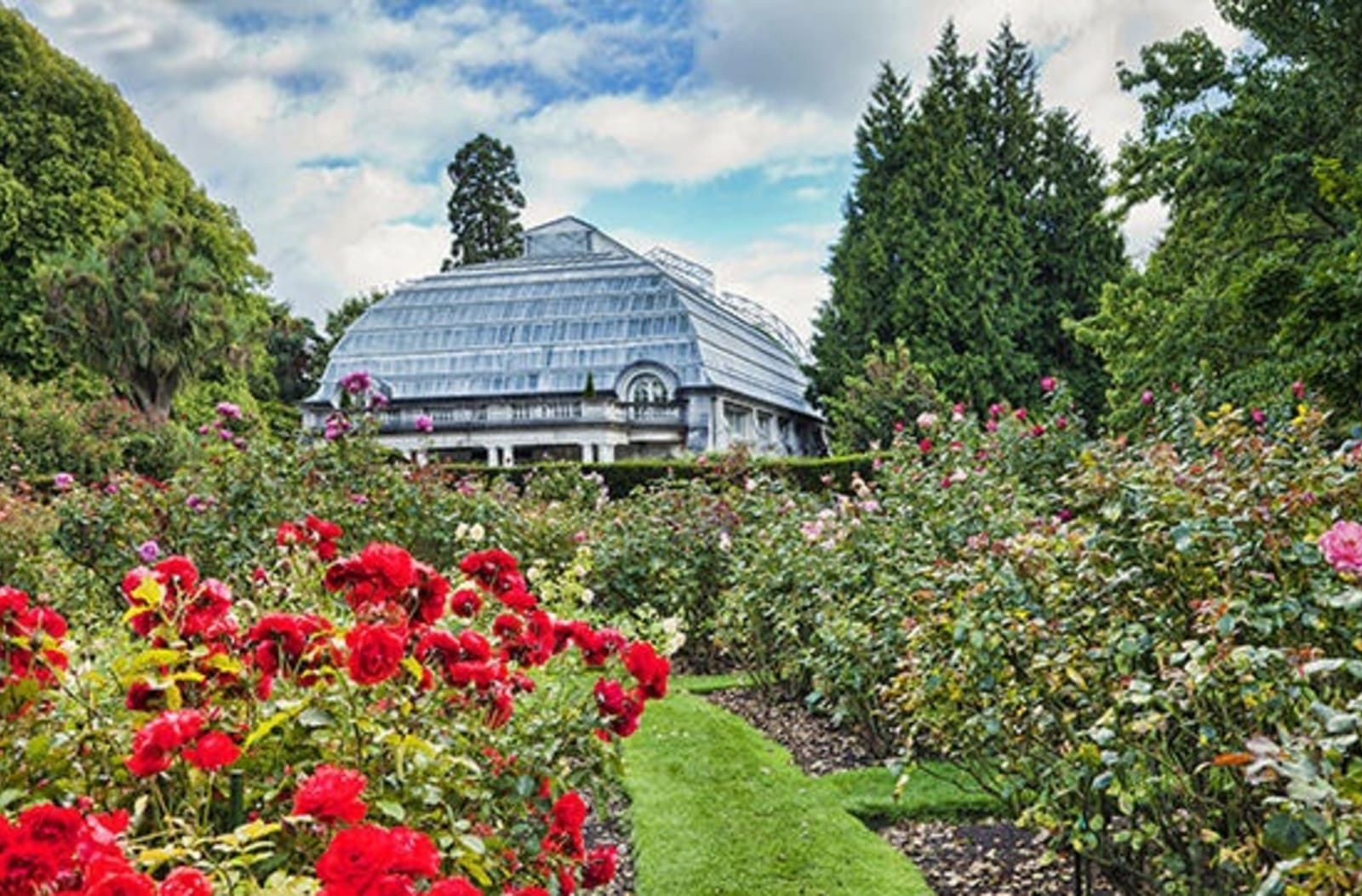 RS-Christchurch-Botanic-Gardens-shutterstock_481491622-1.jpg