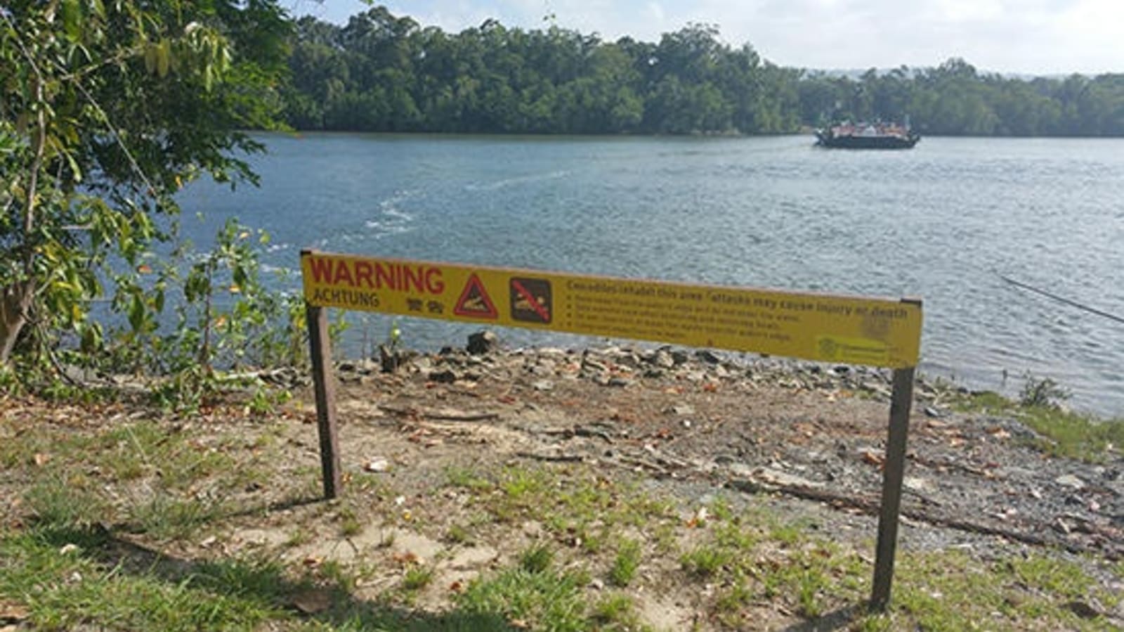 RS-Crocodile-warning-at-Daintree-River.jpg