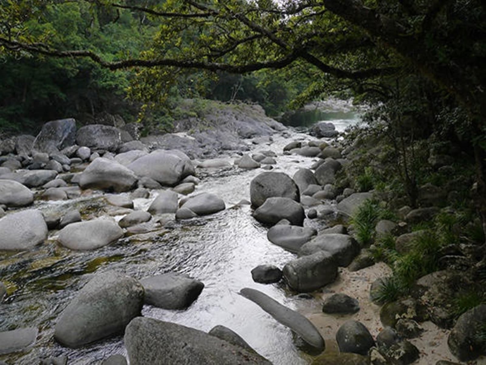 RS-Daintree-River-at-Mossman-Gorge.jpg