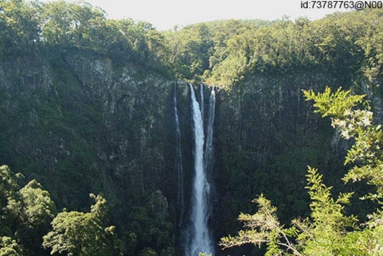 RS-Manning-Valley-Ellenborough-Falls-Island-Home-FLICKR-id-73787763@N00.jpg