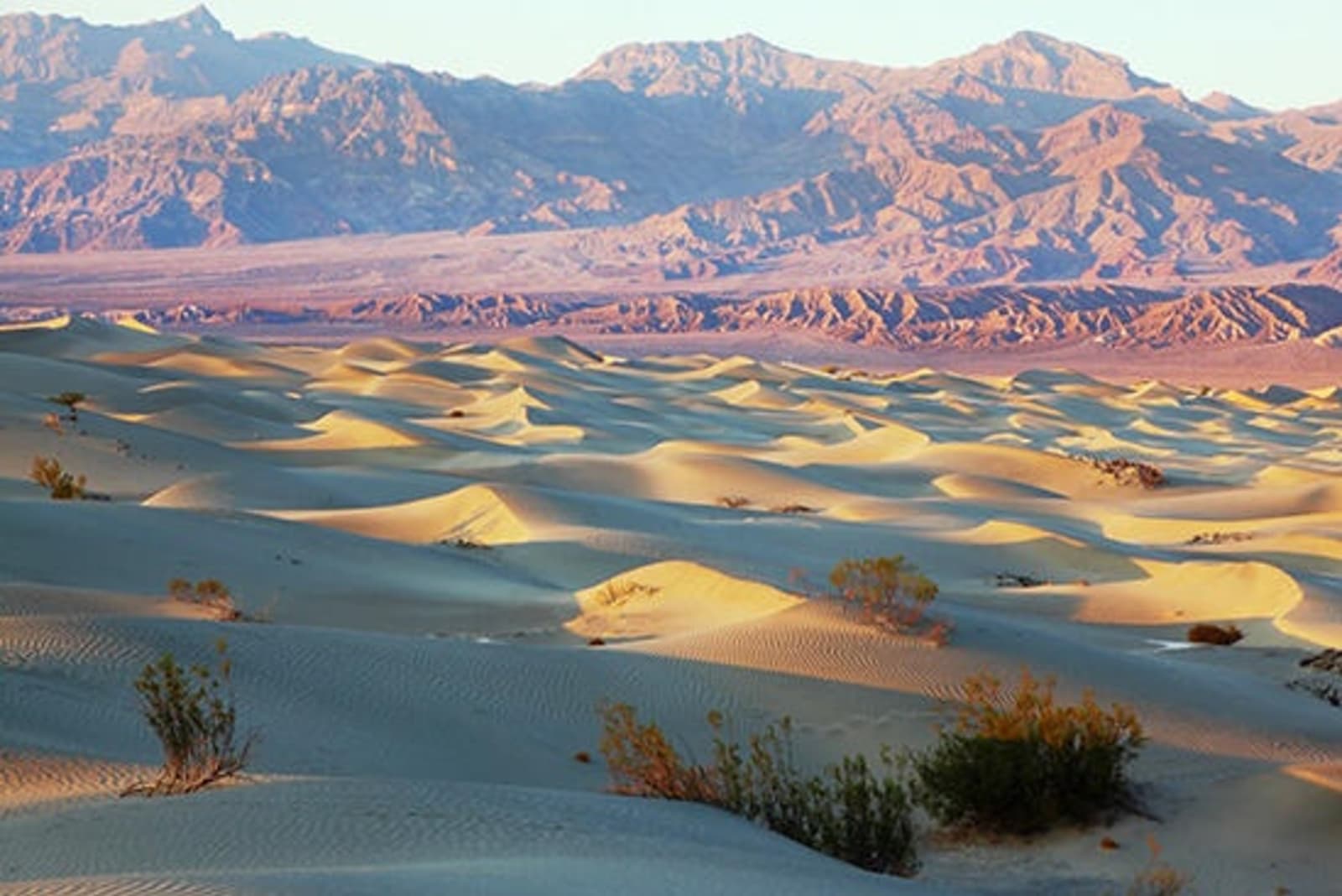 RS-Mesquite-Flat-Sand-Dunes-shutterstock_79590676.jpg