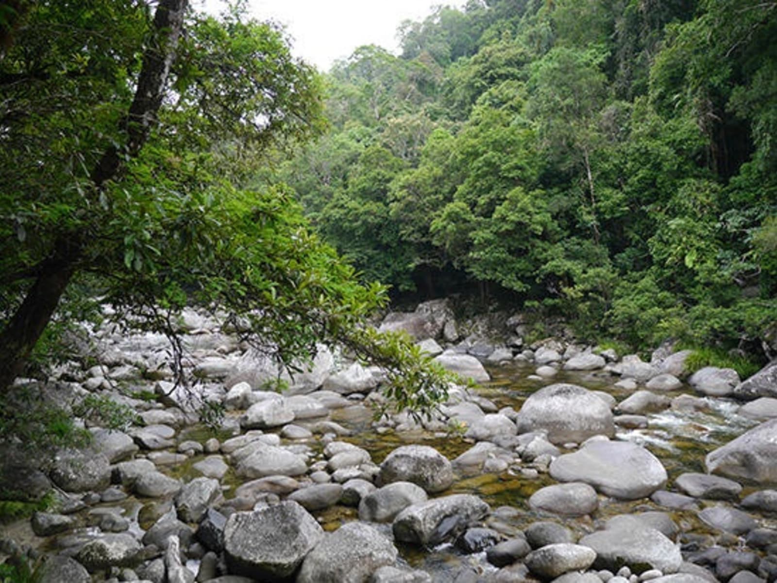 RS-Mossman-Gorge-P1150772.jpg