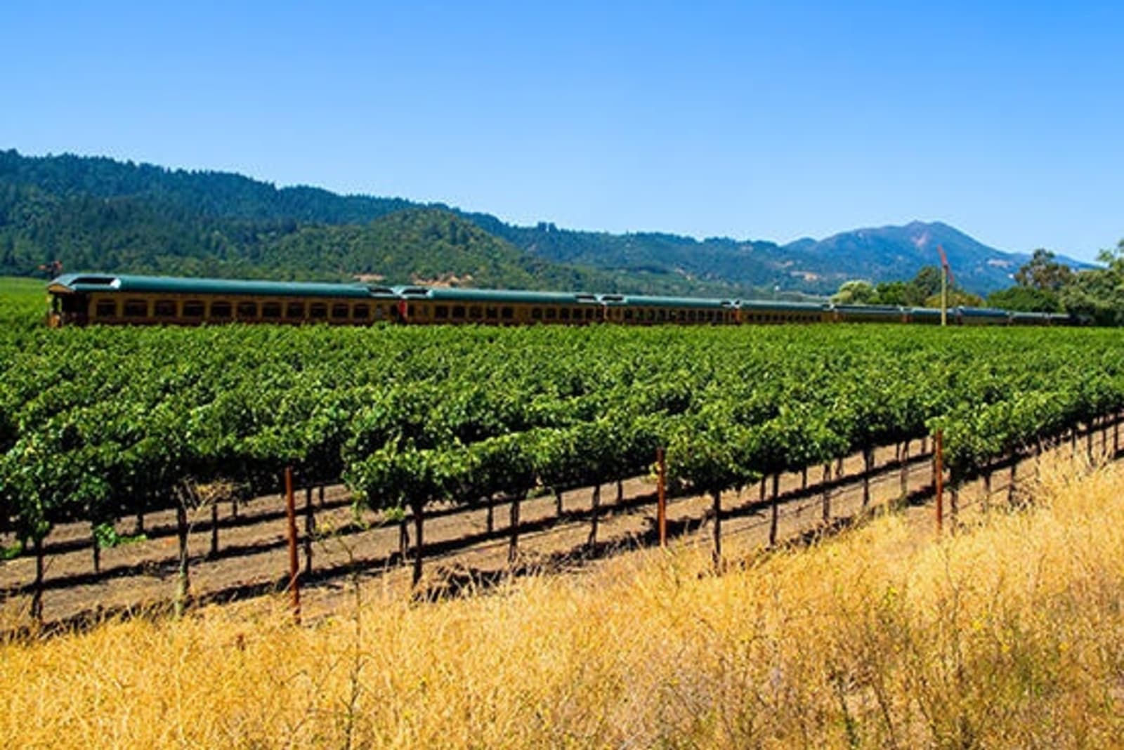 RS-Napa-Valley-Wine-Train-shutterstock_4511908.jpg