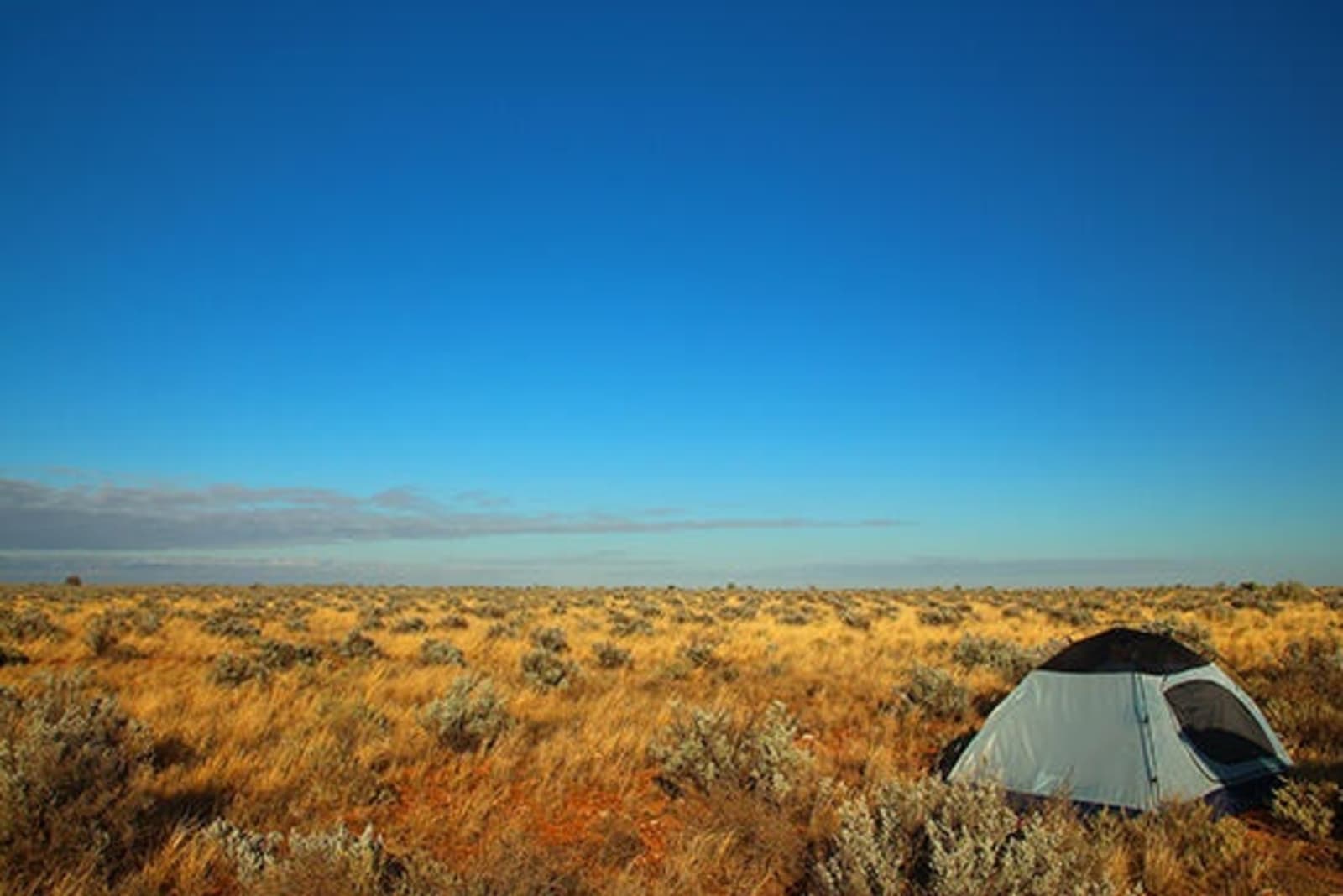 RS-Nullarbor-Plains-shutterstock_321261311.jpg