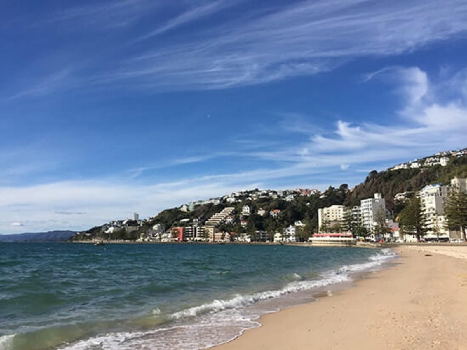 RS-Oriental-Bay-Wellington-shutterstock_486027865.jpg