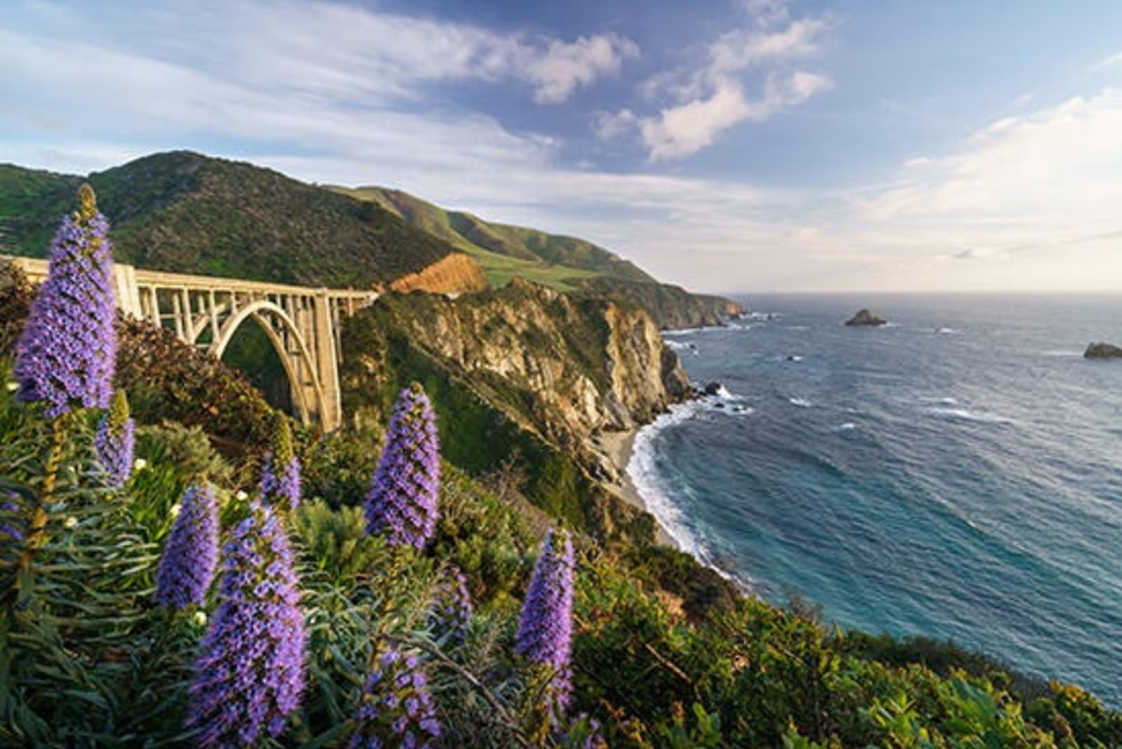 View of Bixby Bridge with flowers in the foreground.