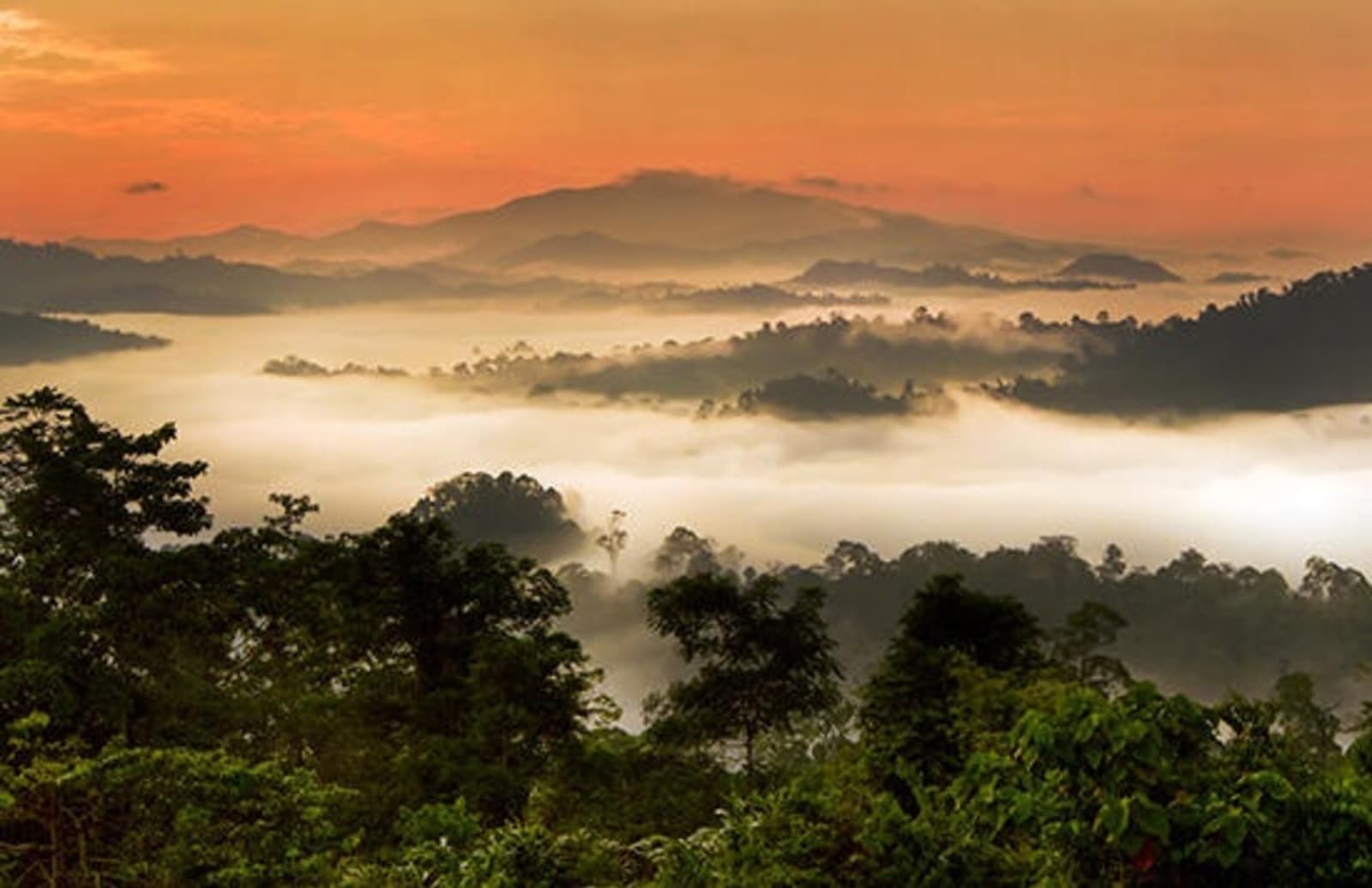 RS-Sunrise-Danum-Valley-shutterstock_449654731.jpg