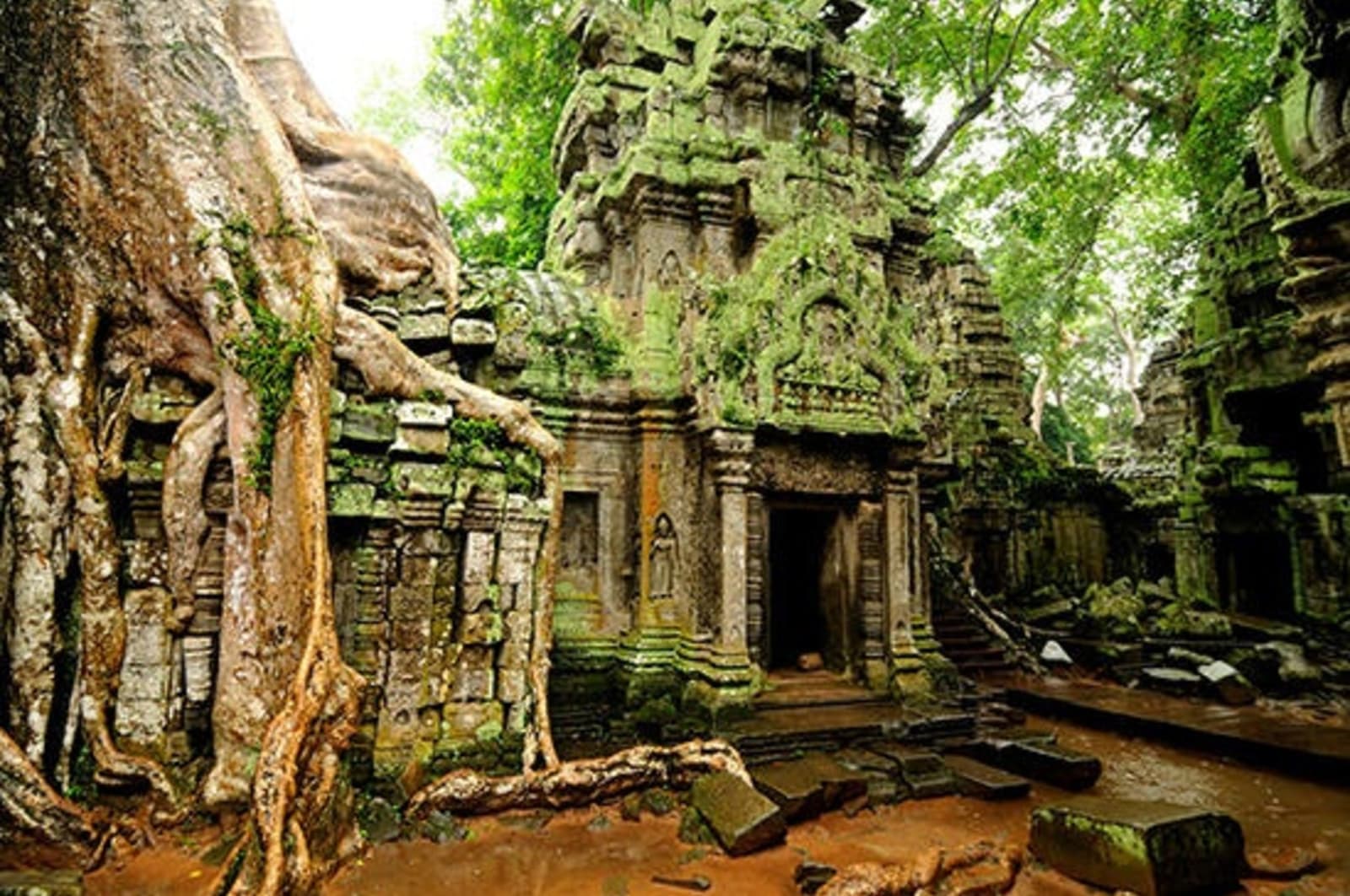 RS-Ta-Prohm-temple-Angkor-Wat.jpg