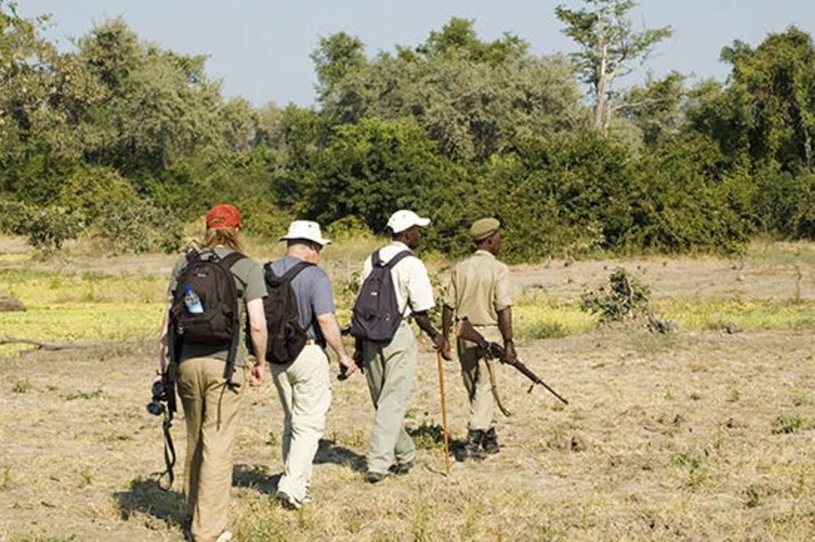 RS-Walking-safari-South-Luangwa-NP-shutterstock_1354425.jpg
