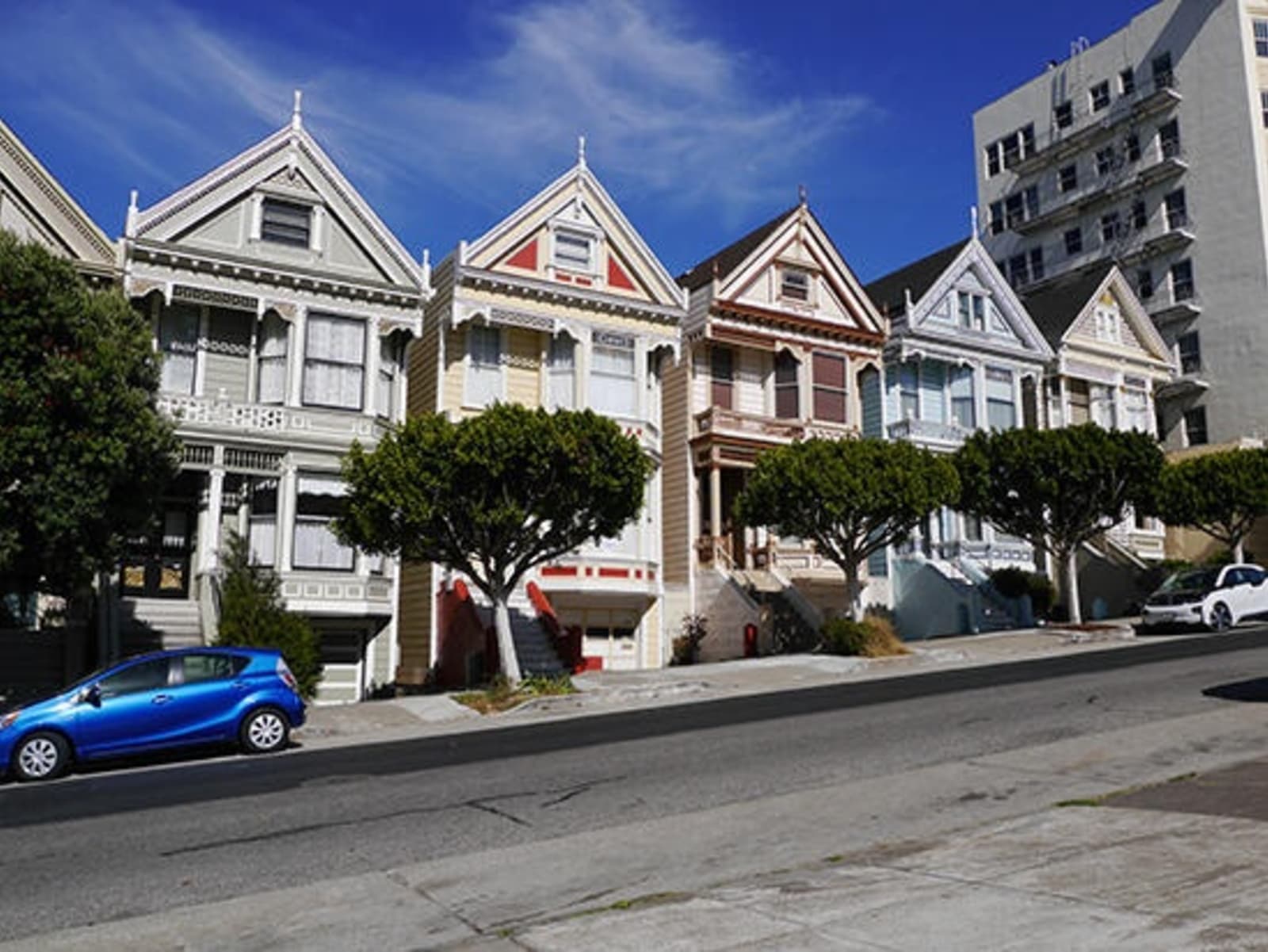 RS-painted-ladies.jpg