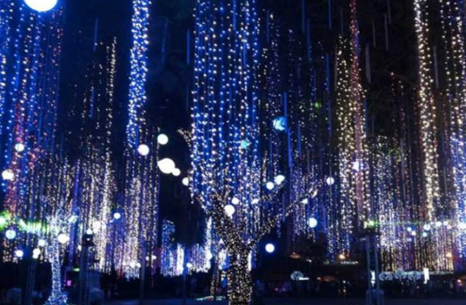 ayala-lights.jpg