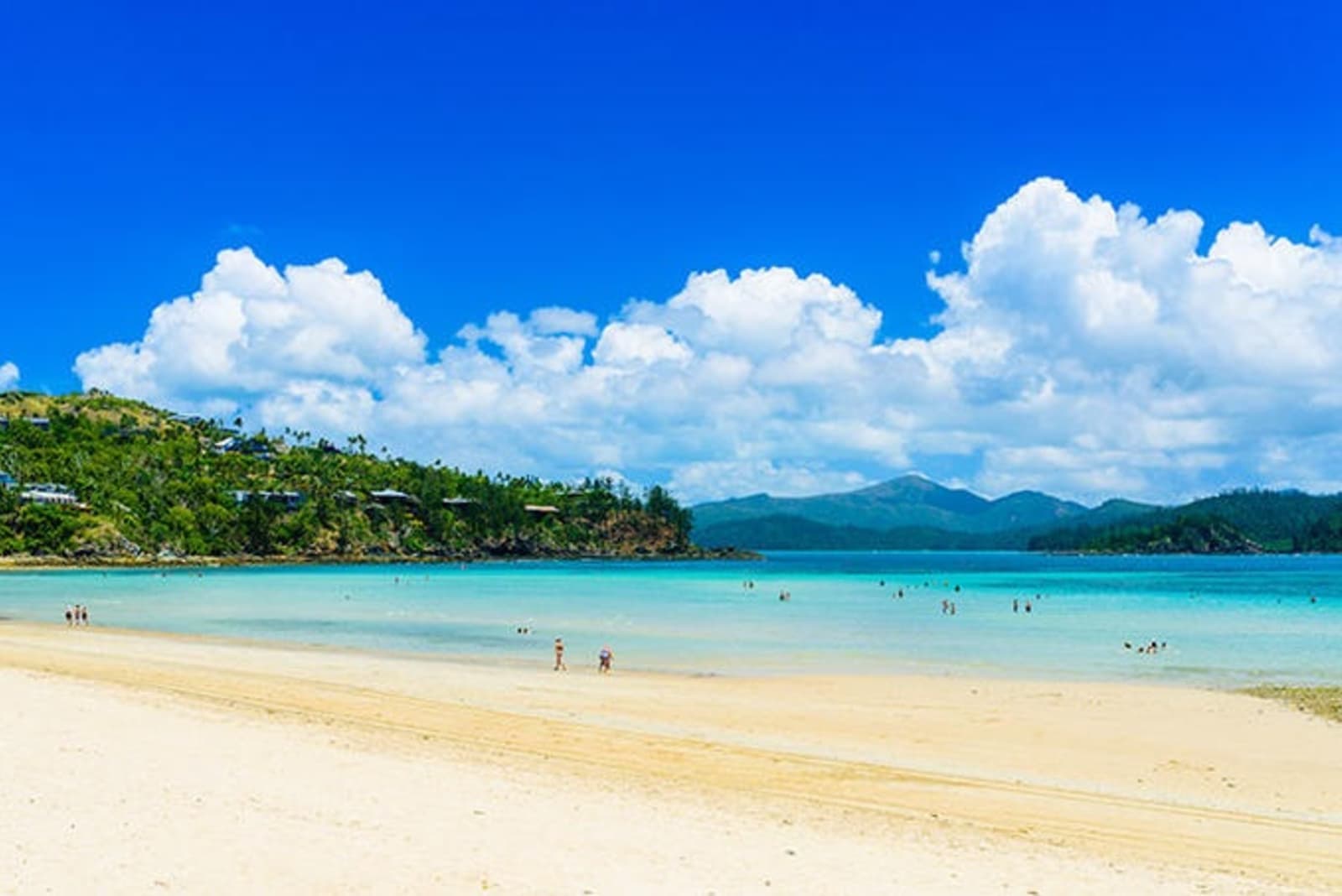 beach-hamilton-island.jpeg