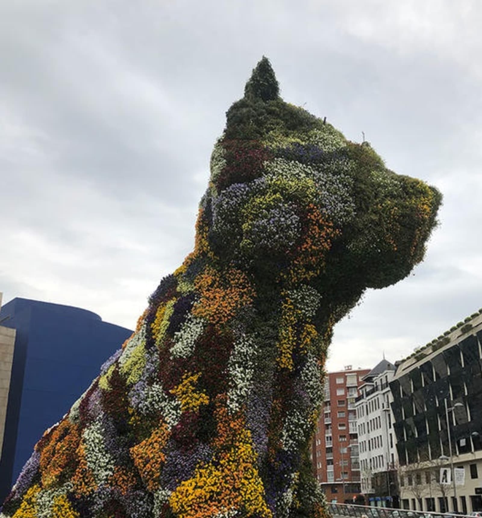 bilbao-dog-ps.jpg
