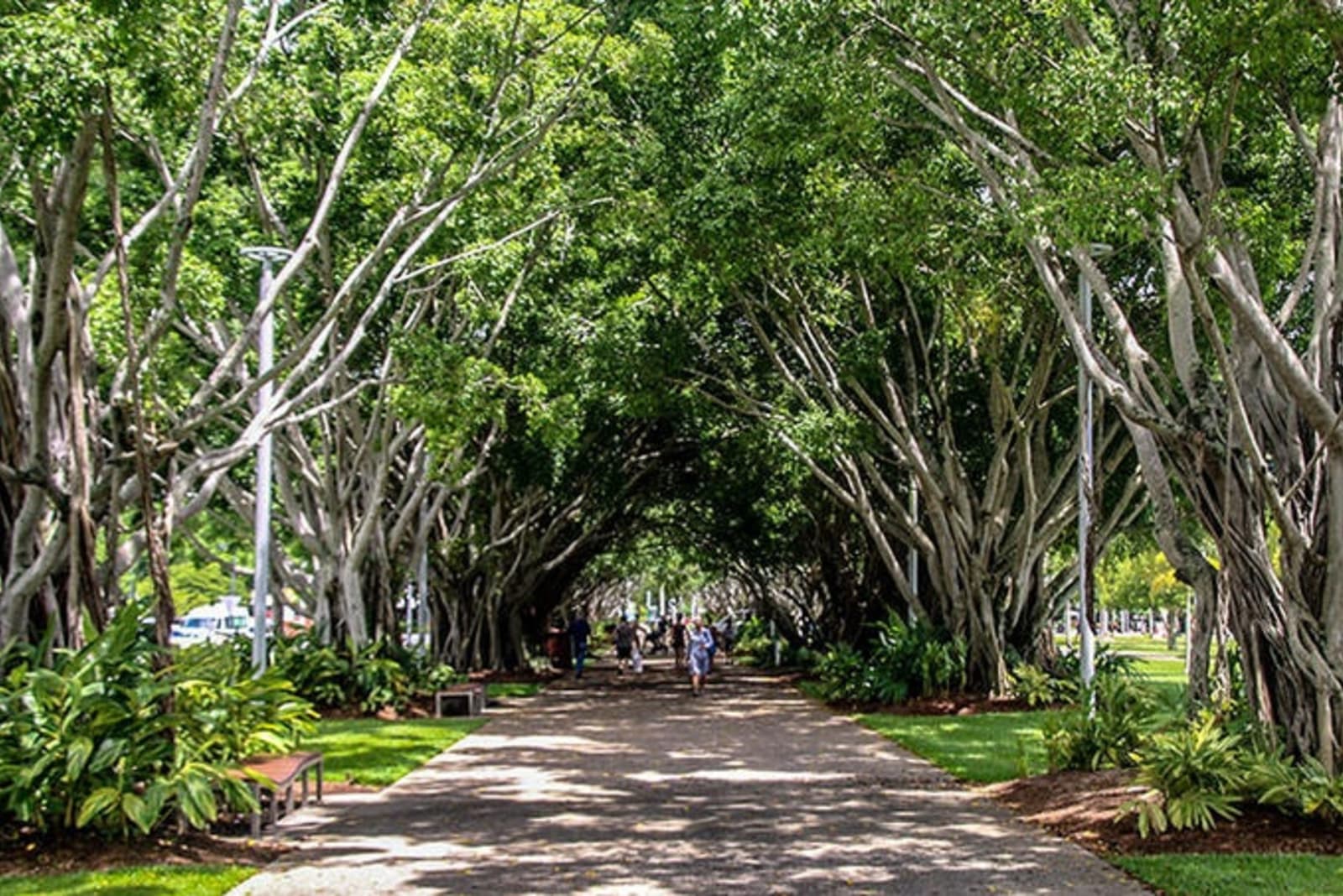 cairns-esplanade.jpg