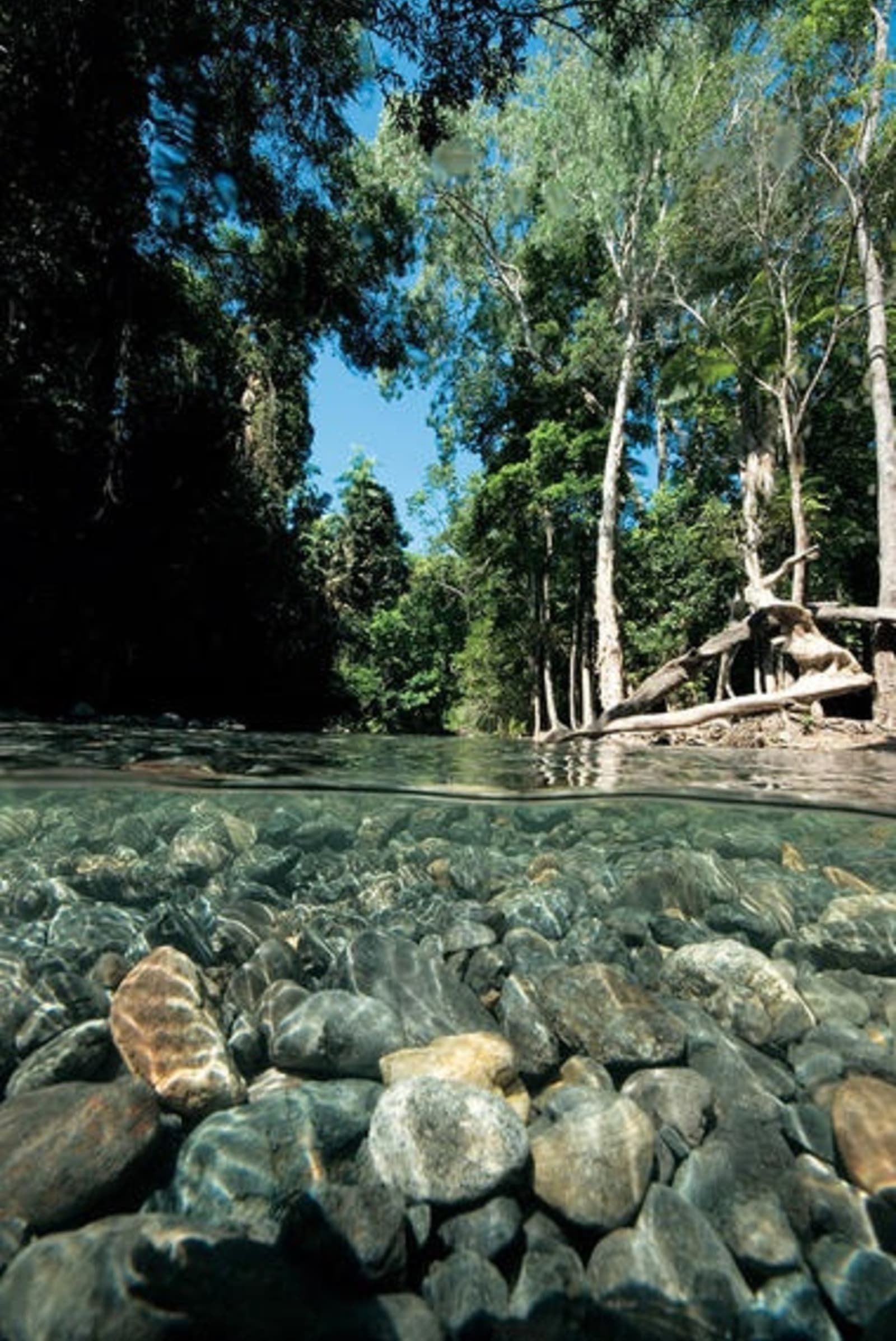 daintree-river-rachel-lay.jpg