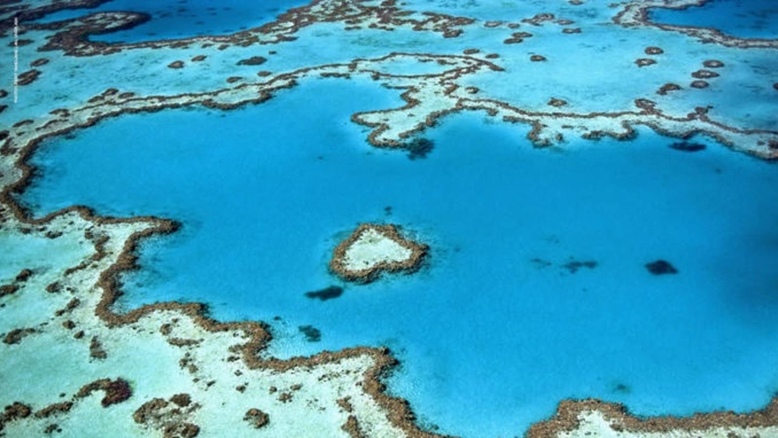 flight_centre_zoom_great_barrier_reef.jpg