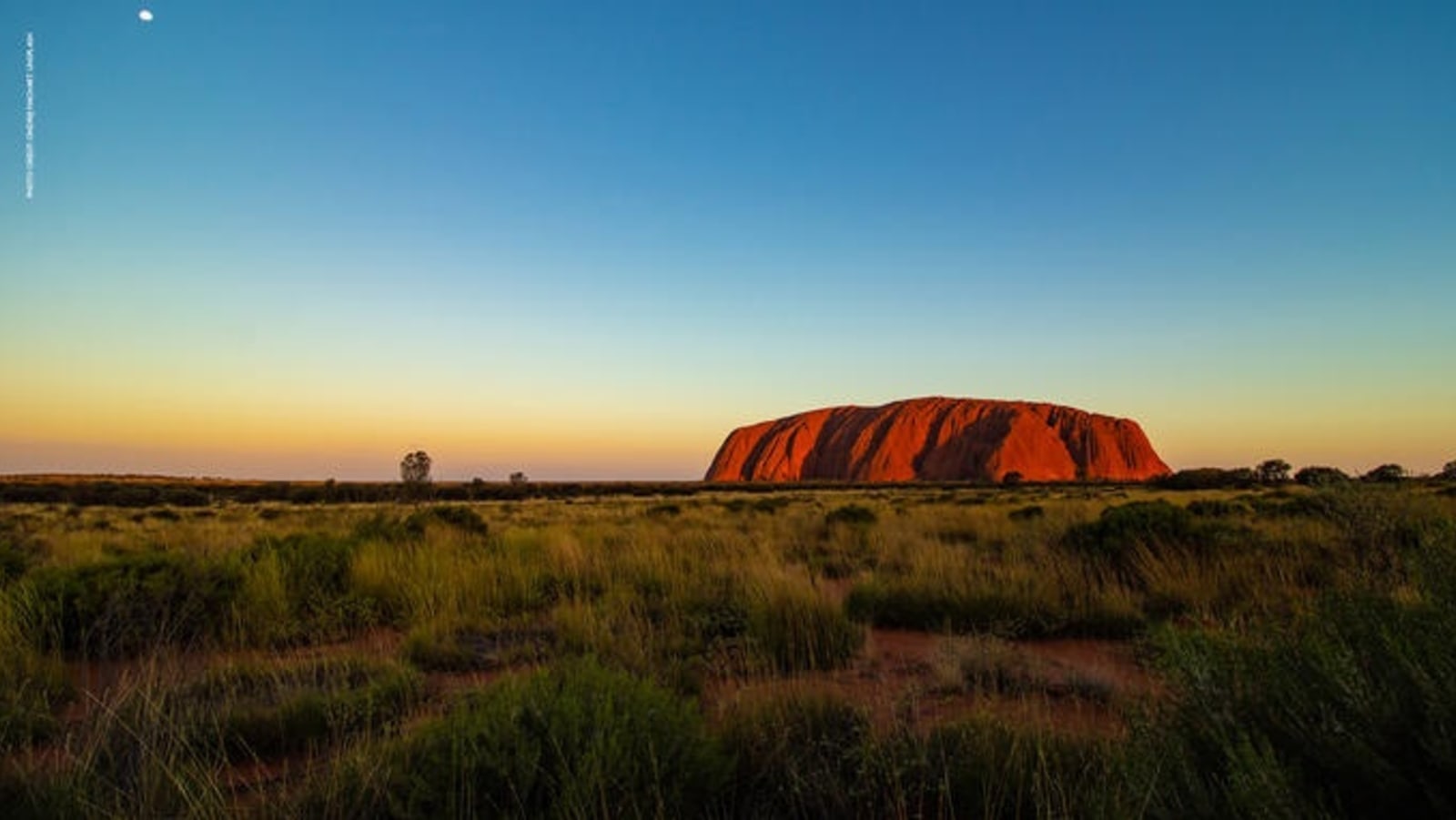 flight_centre_zoom_uluru.jpg