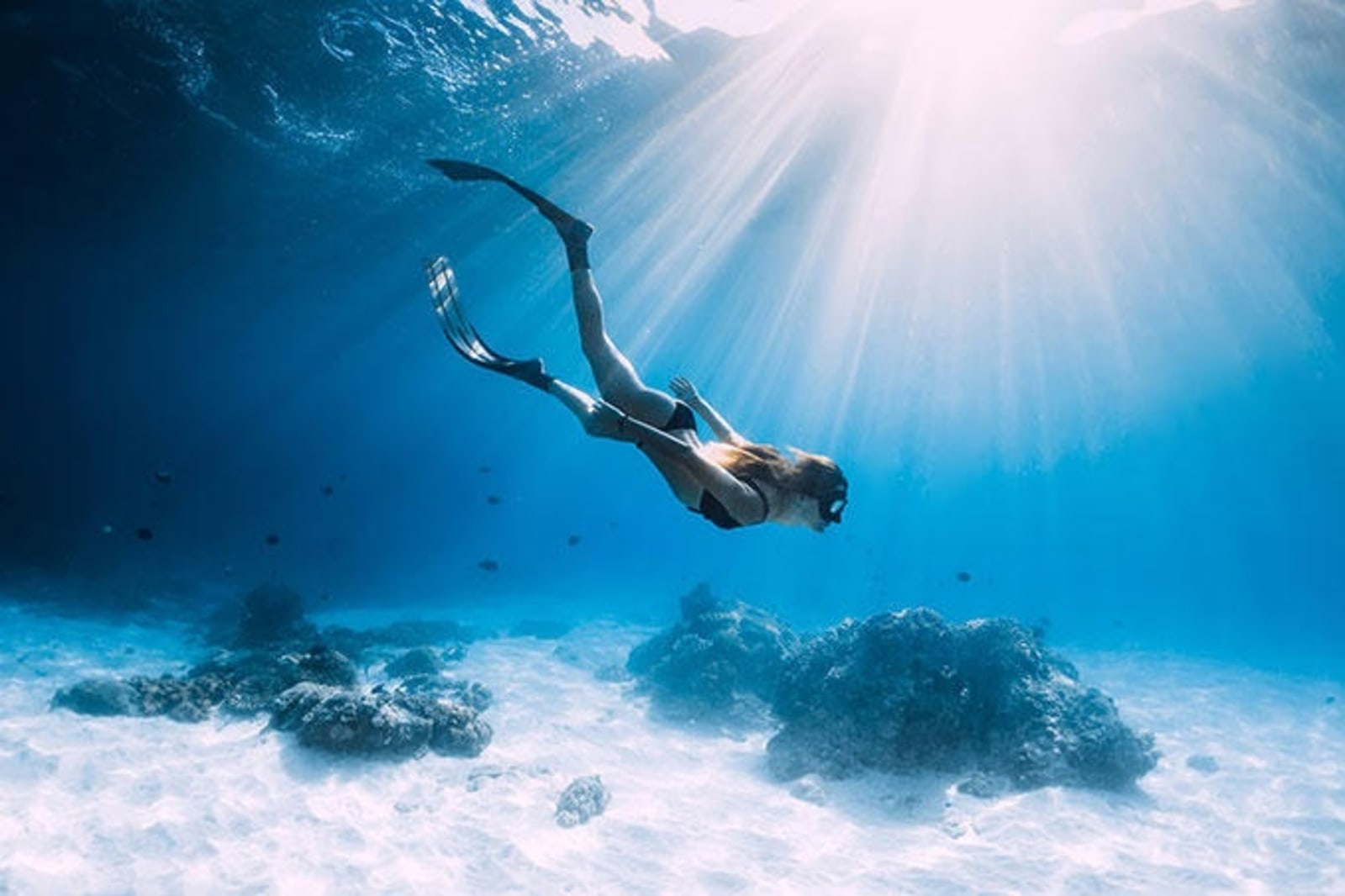 freediving-ps.jpg
