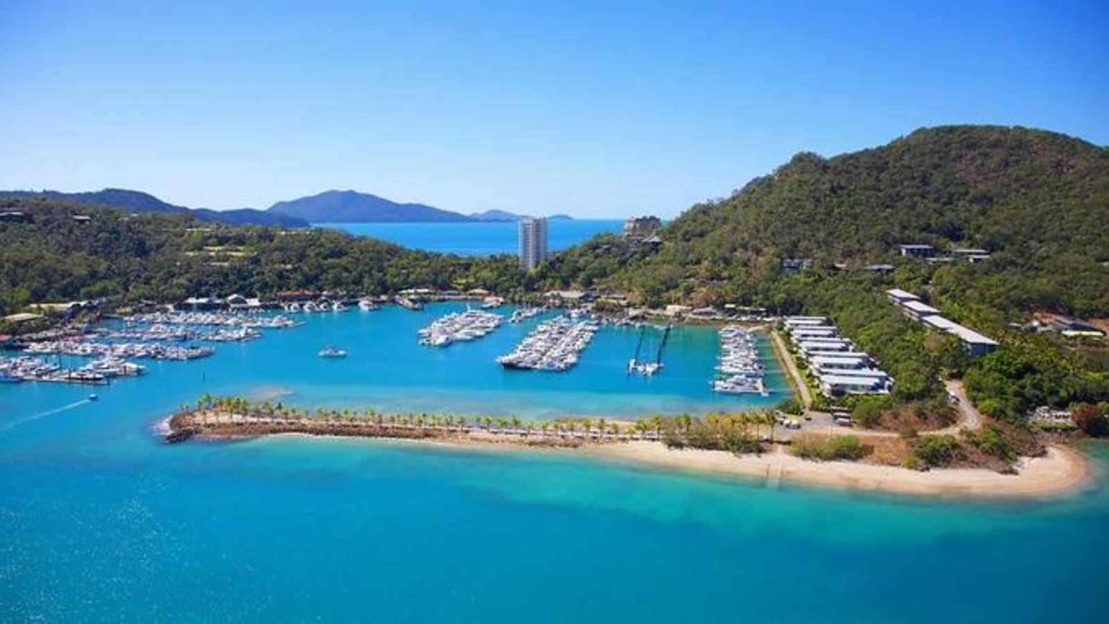 hamilton_island_marina.jpeg