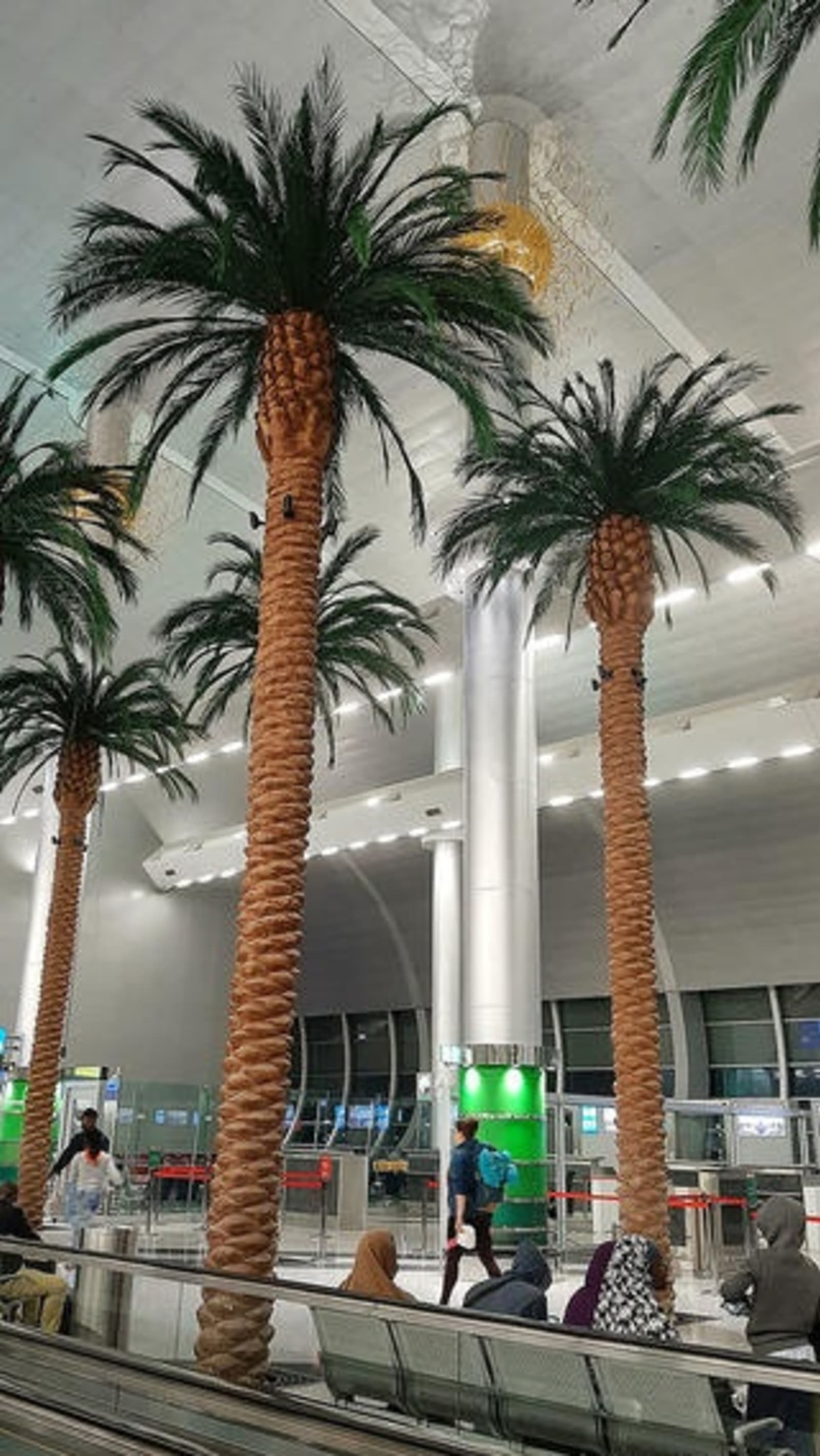 highpalmtrees-ps.jpeg