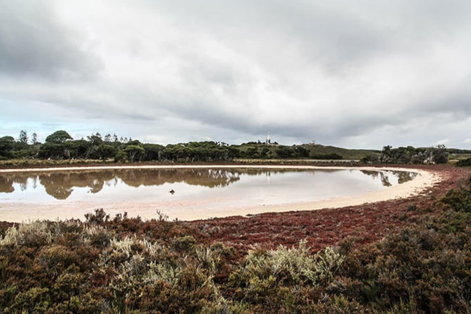 pink-lake-rottnest-island-richard-collett.jpeg