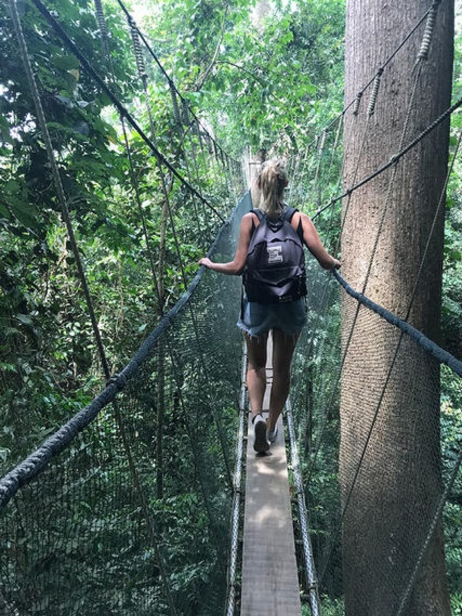 Back of a woman walking through a treetop walk.