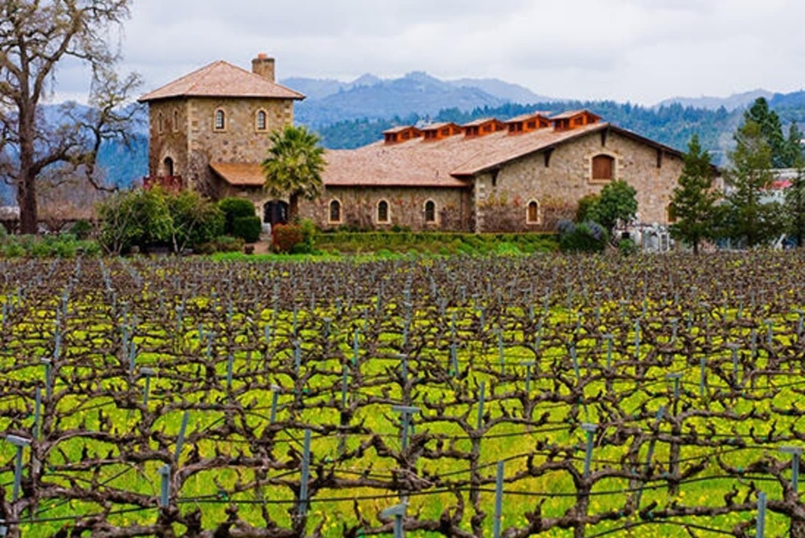 rs-1-winery-napa-valley1.jpg