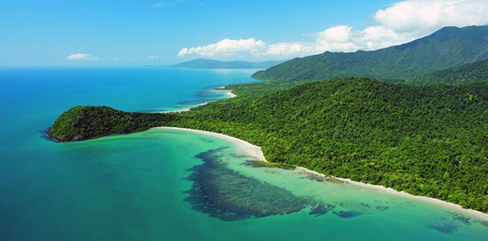 rs-10-cape-tribulation-daintree-national-park-qld-645743-2.jpg