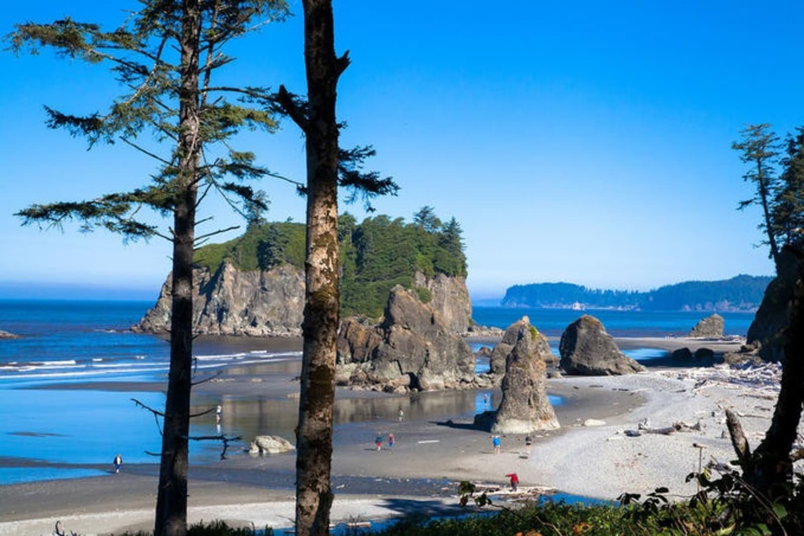 rs-1b.-ruby-beach-olympic-national-park.jpg