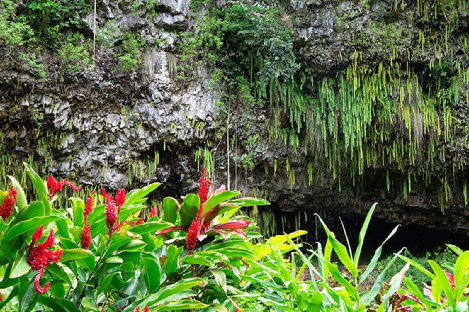 rs-4-fern-grotto-kauai-hawaii-shutterstock_1098294155.jpg