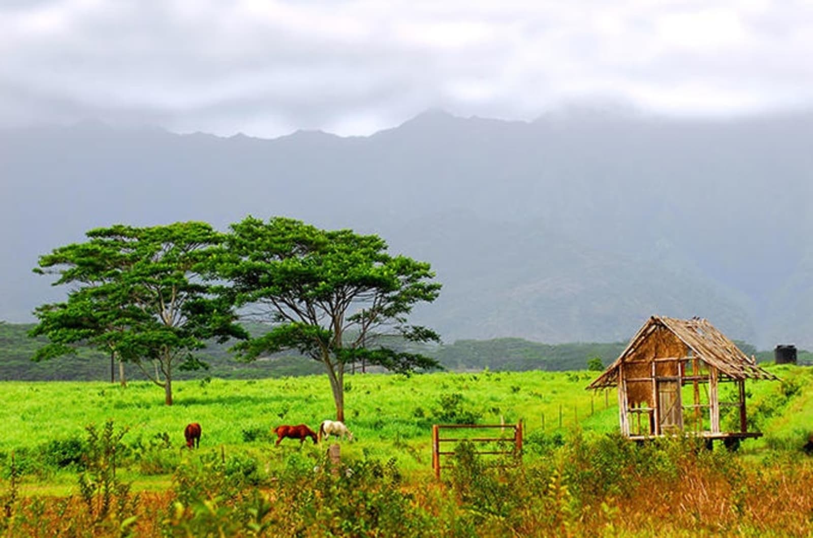 rs-7-kauai-ranch-hawaii-shutterstock_19882753.jpg