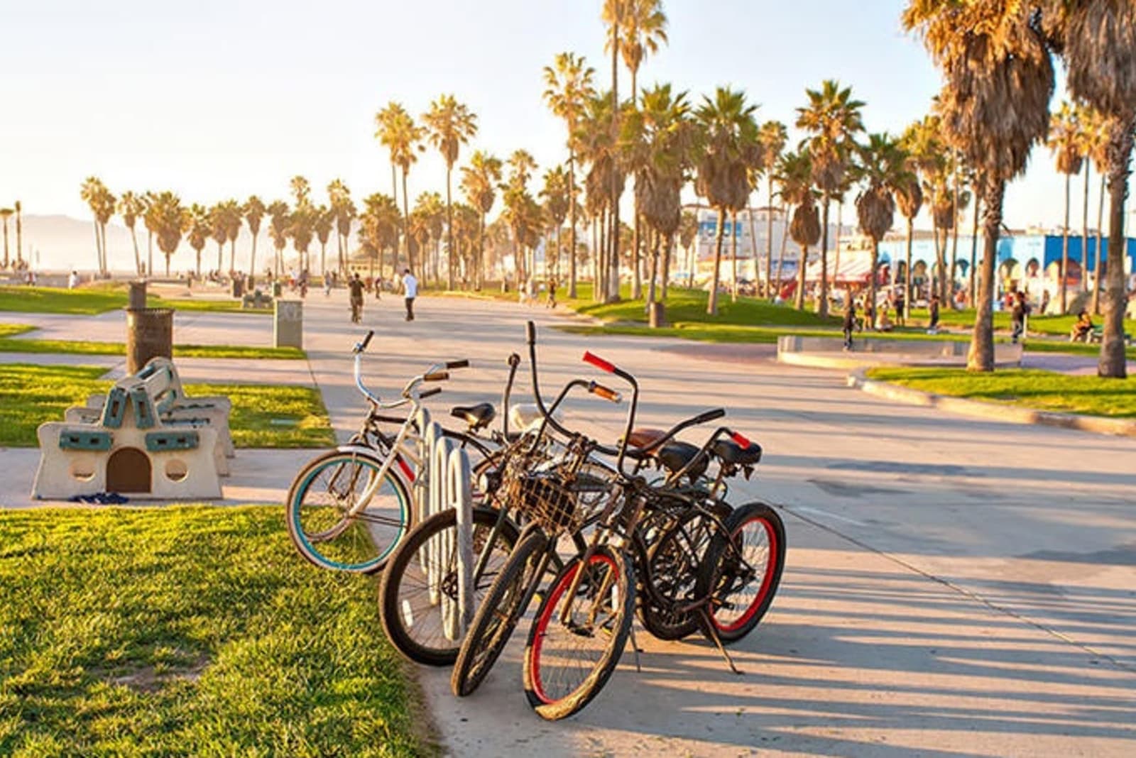 rs-bicycles-venice-beach-la-shutterstock_403239199.jpg