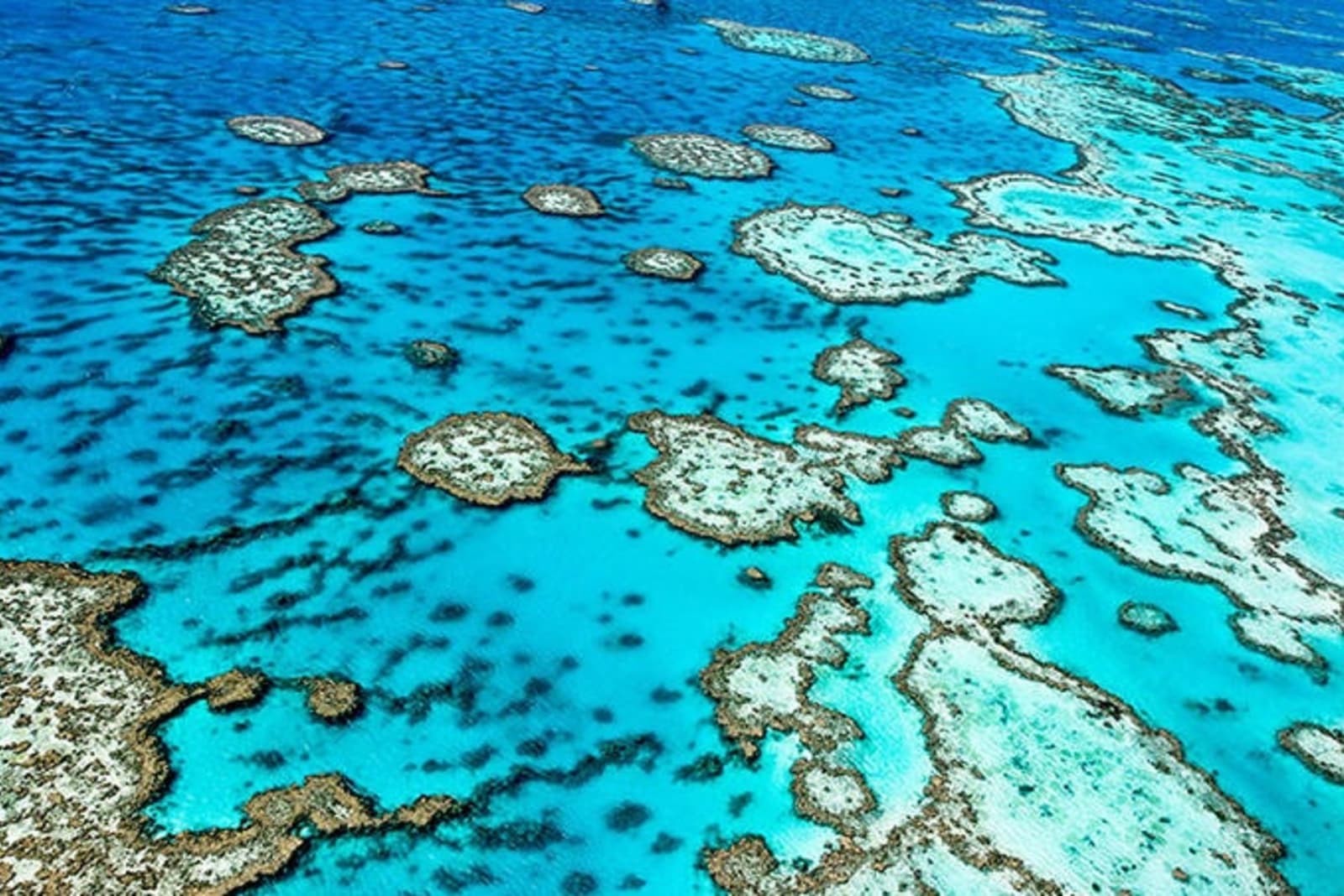 rs-great-barrier-reef-australia-shutterstock_134885012.jpeg